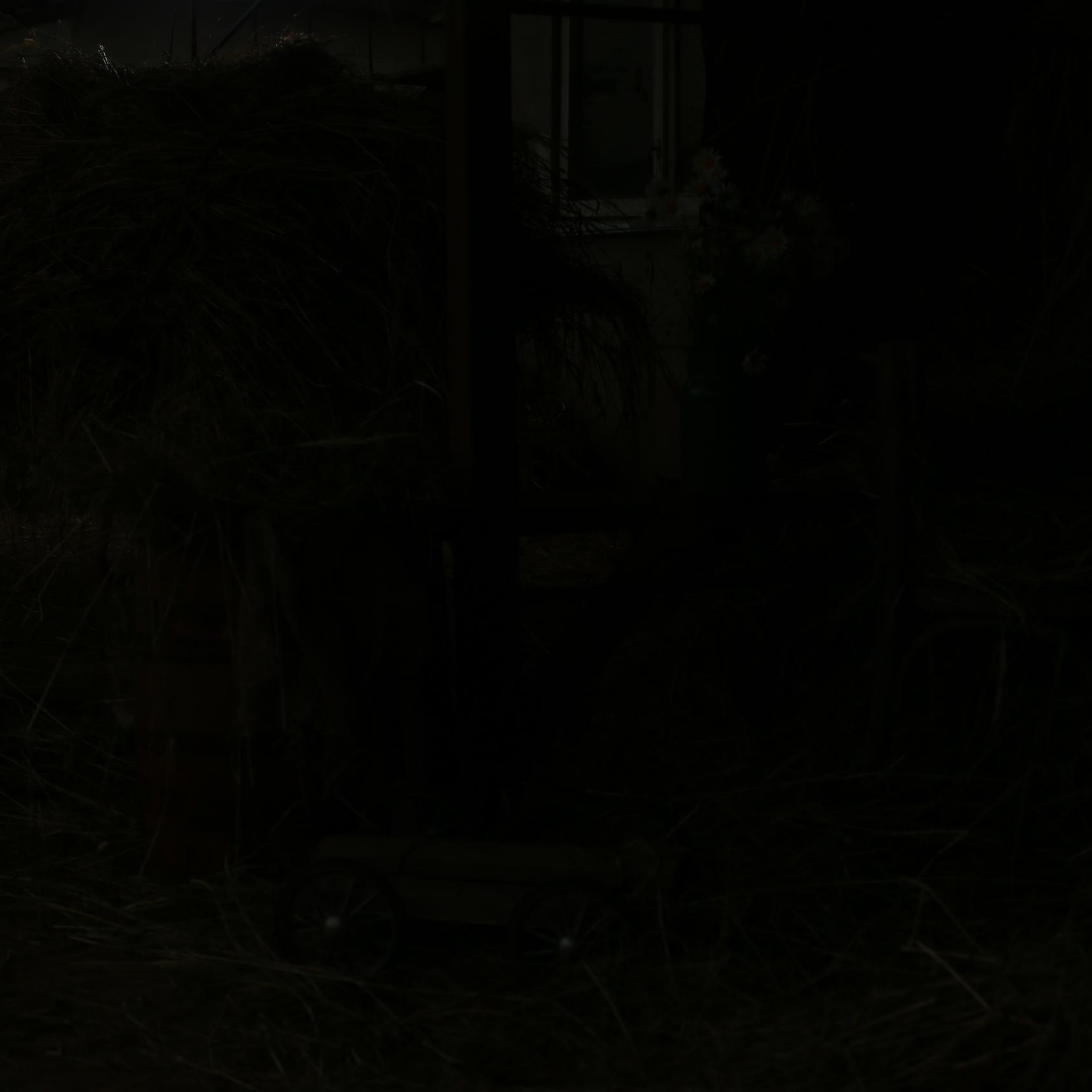 Отзывы. Portrait photography in Moscow. Photographer Oleg Golishnikov