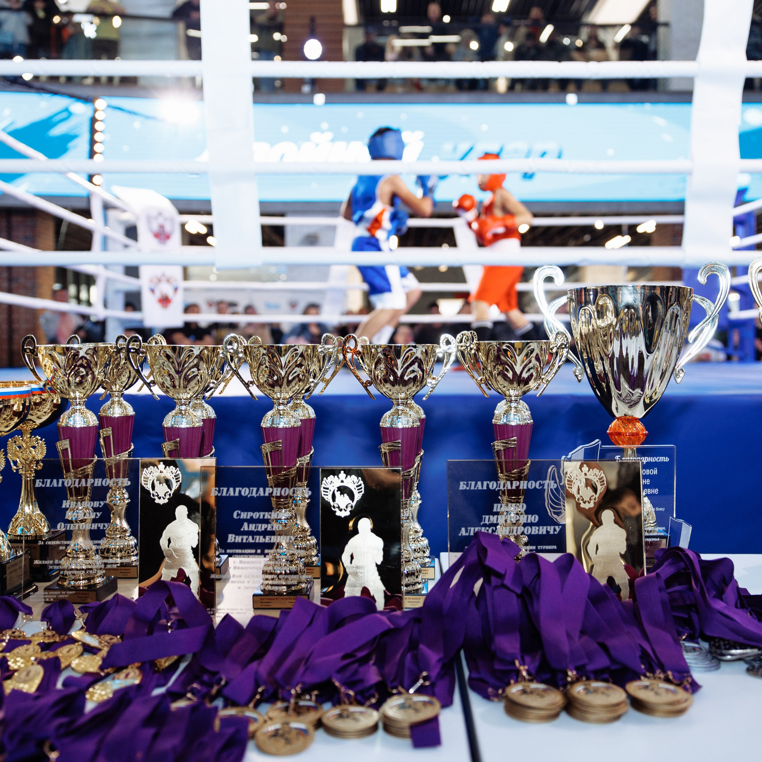 Турнир по боксу «Двойной удар» ТРК «Небо». Свадебный фотограф в Нижнем Новгороде и Москве Виктор Баринов