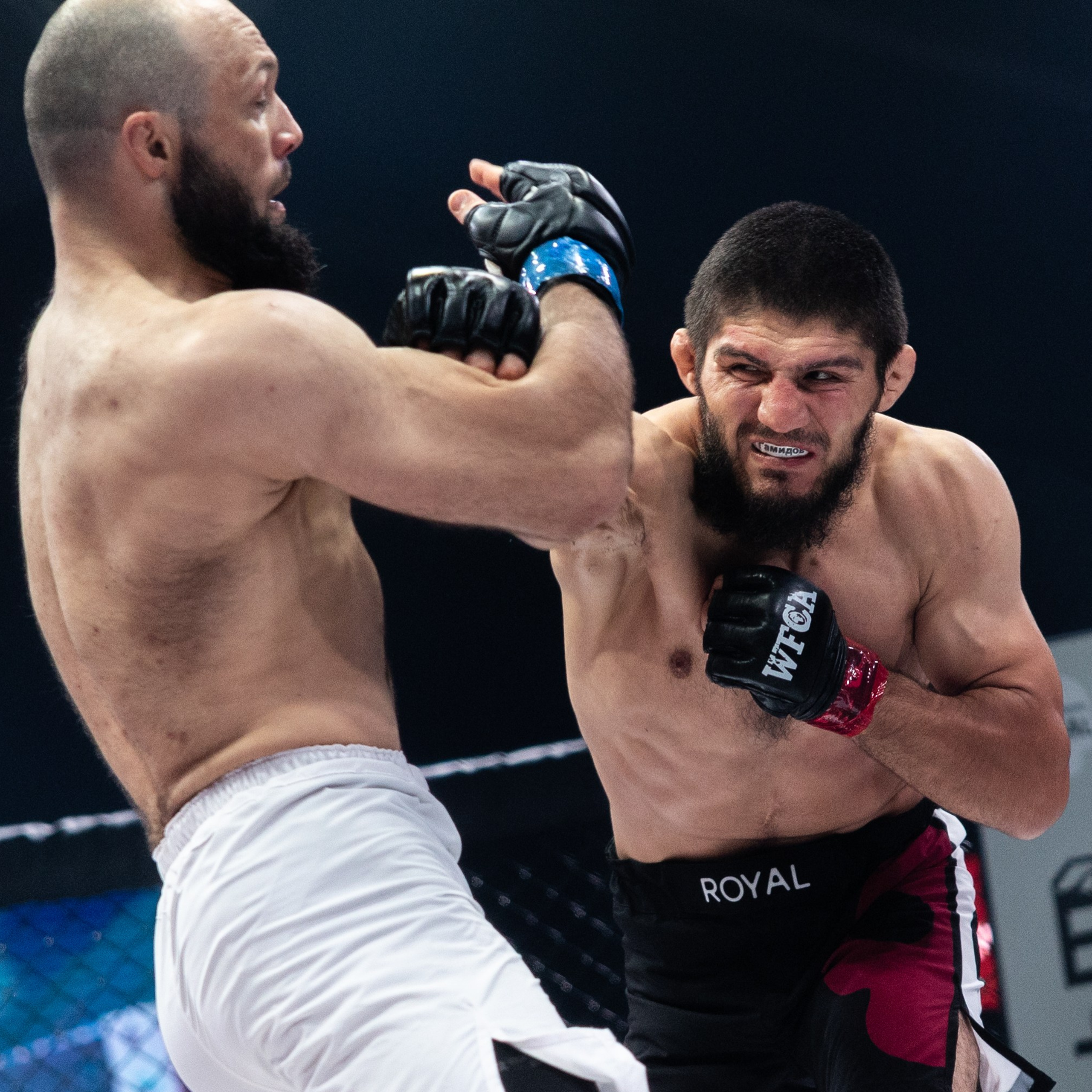 MMA/Royal Battle Show. Свадебный фотограф в Нижнем Новгороде и Москве Виктор Баринов