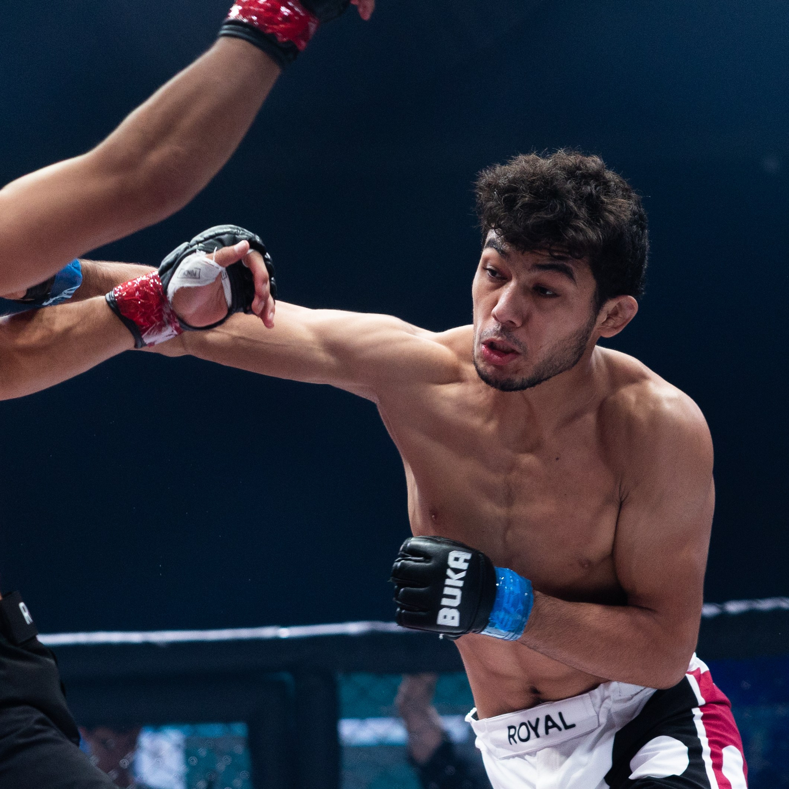 MMA/Royal Battle Show. Свадебный фотограф в Нижнем Новгороде и Москве Виктор Баринов