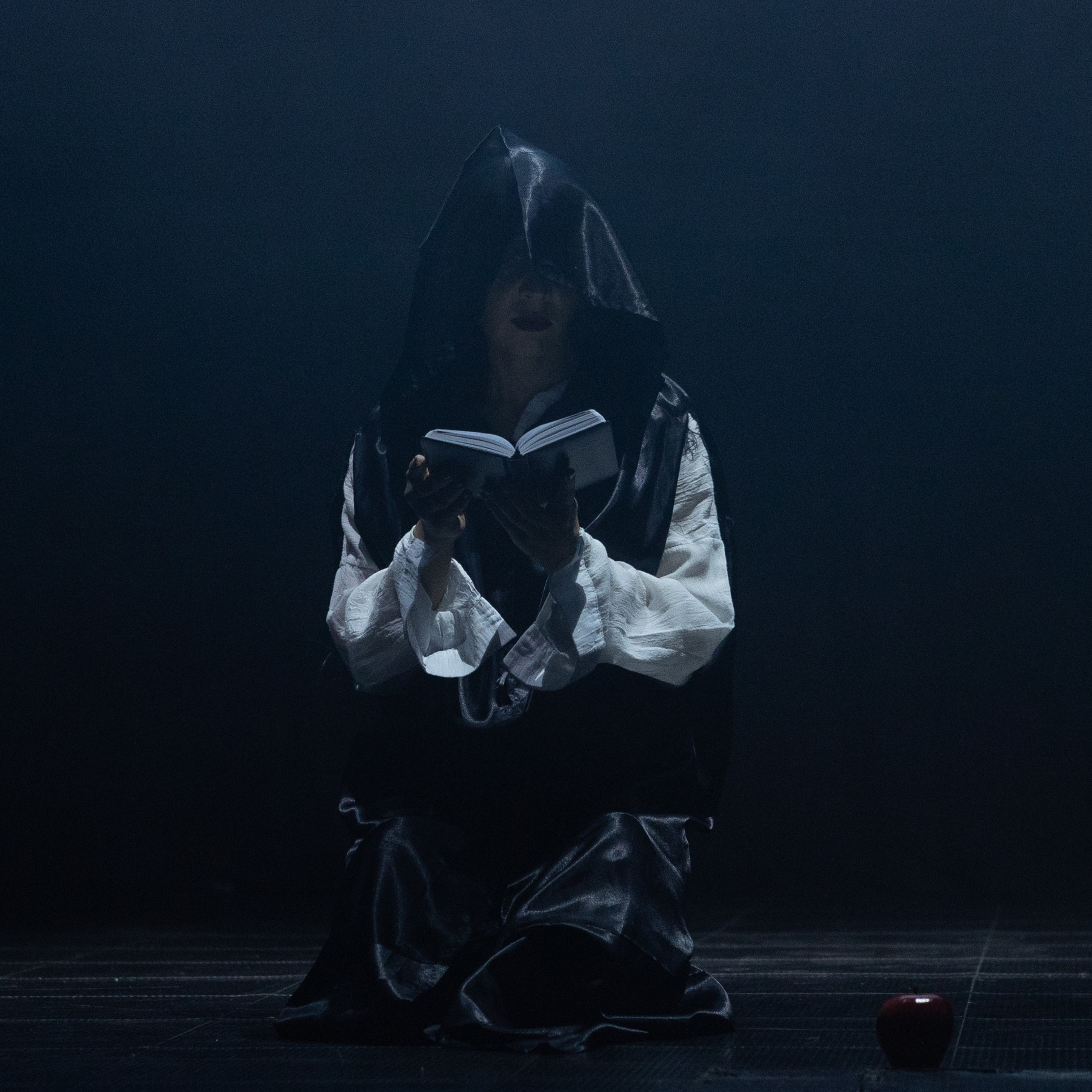 Всероссийский чемпионат по Pole dance «Lotus 2023». Свадебный фотограф в Нижнем Новгороде и Москве Виктор Баринов