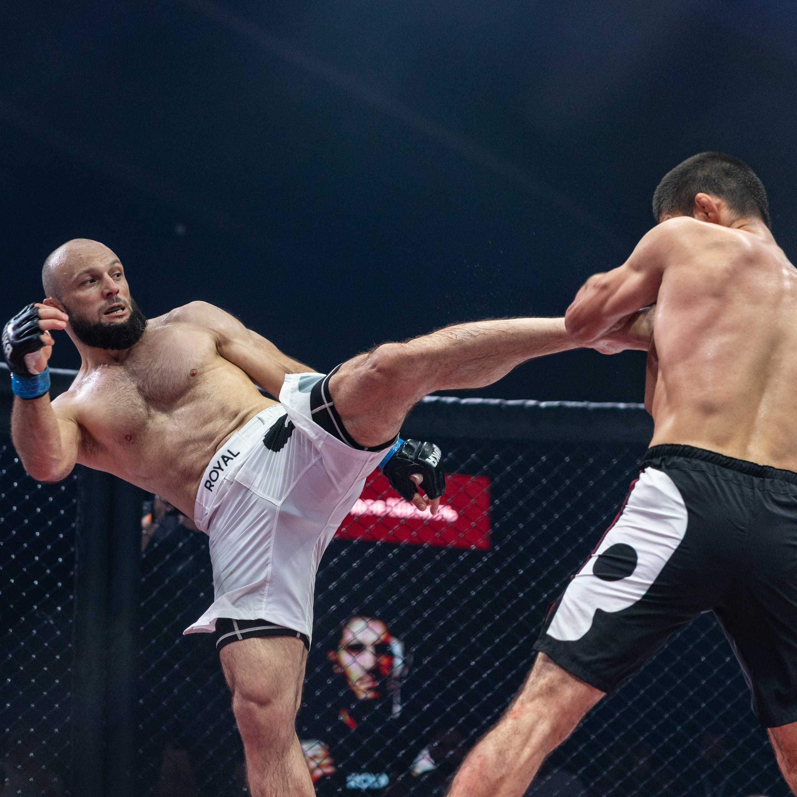 MMA/Royal Battle Show. Свадебный фотограф в Нижнем Новгороде и Москве Виктор Баринов