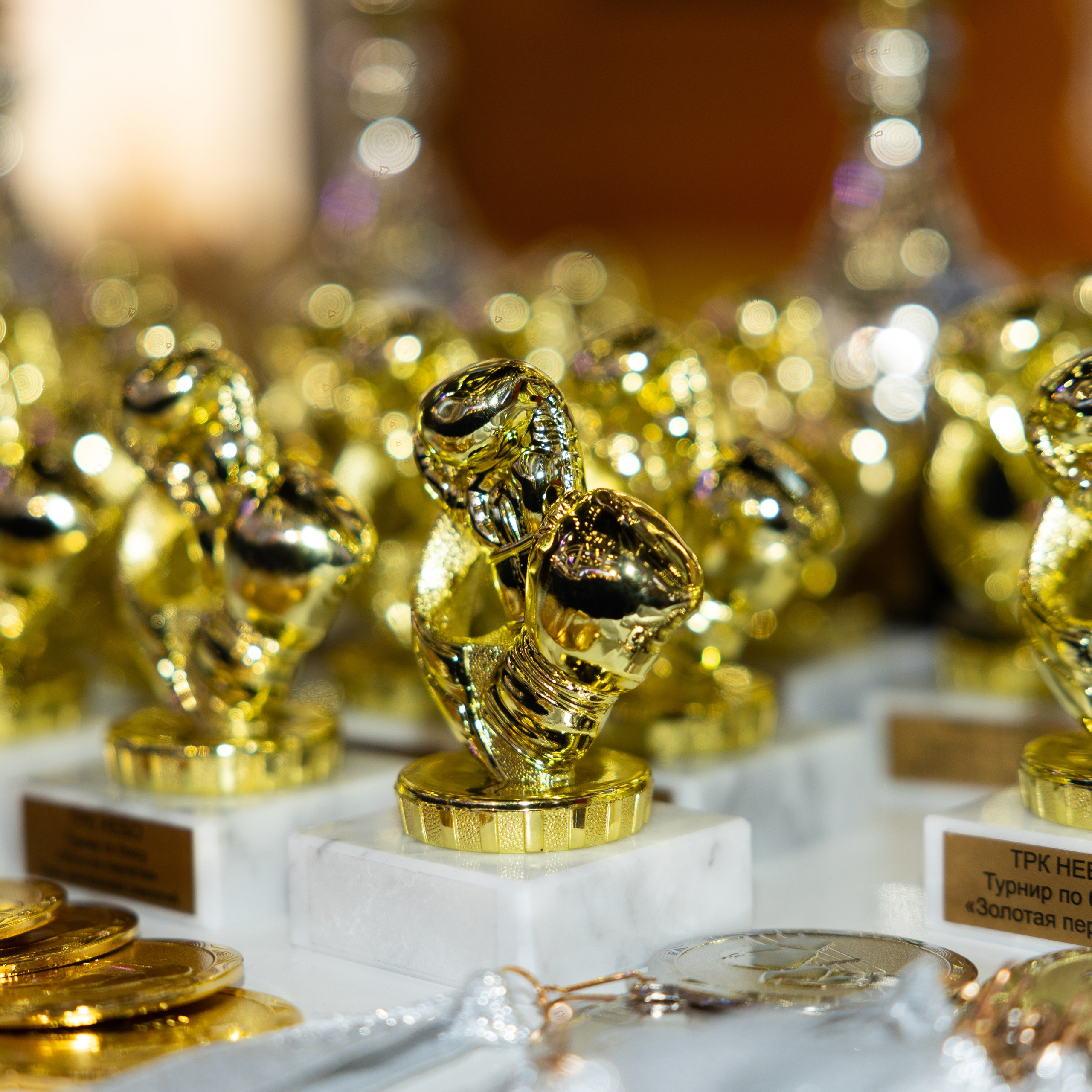 Турнир по боксу «Золотая перчатка». Свадебный фотограф в Нижнем Новгороде и Москве Виктор Баринов