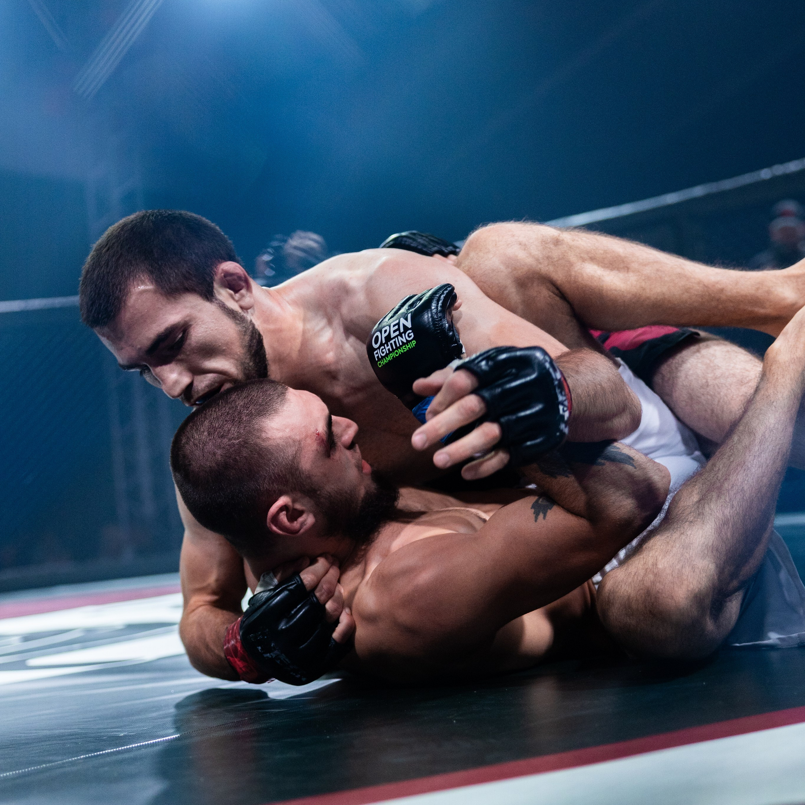 MMA/Royal Battle Show. Свадебный фотограф в Нижнем Новгороде и Москве Виктор Баринов