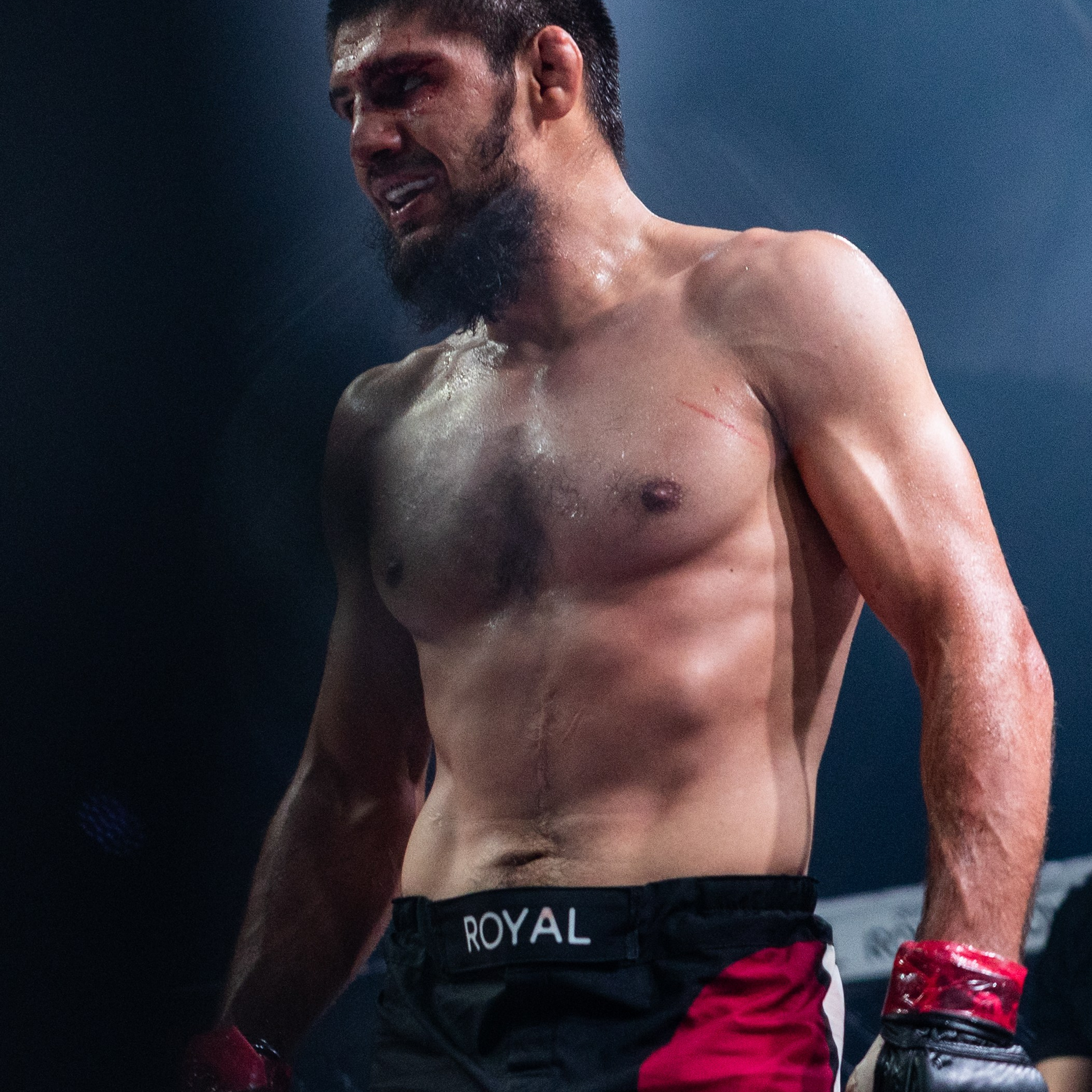 MMA/Royal Battle Show. Свадебный фотограф в Нижнем Новгороде и Москве Виктор Баринов