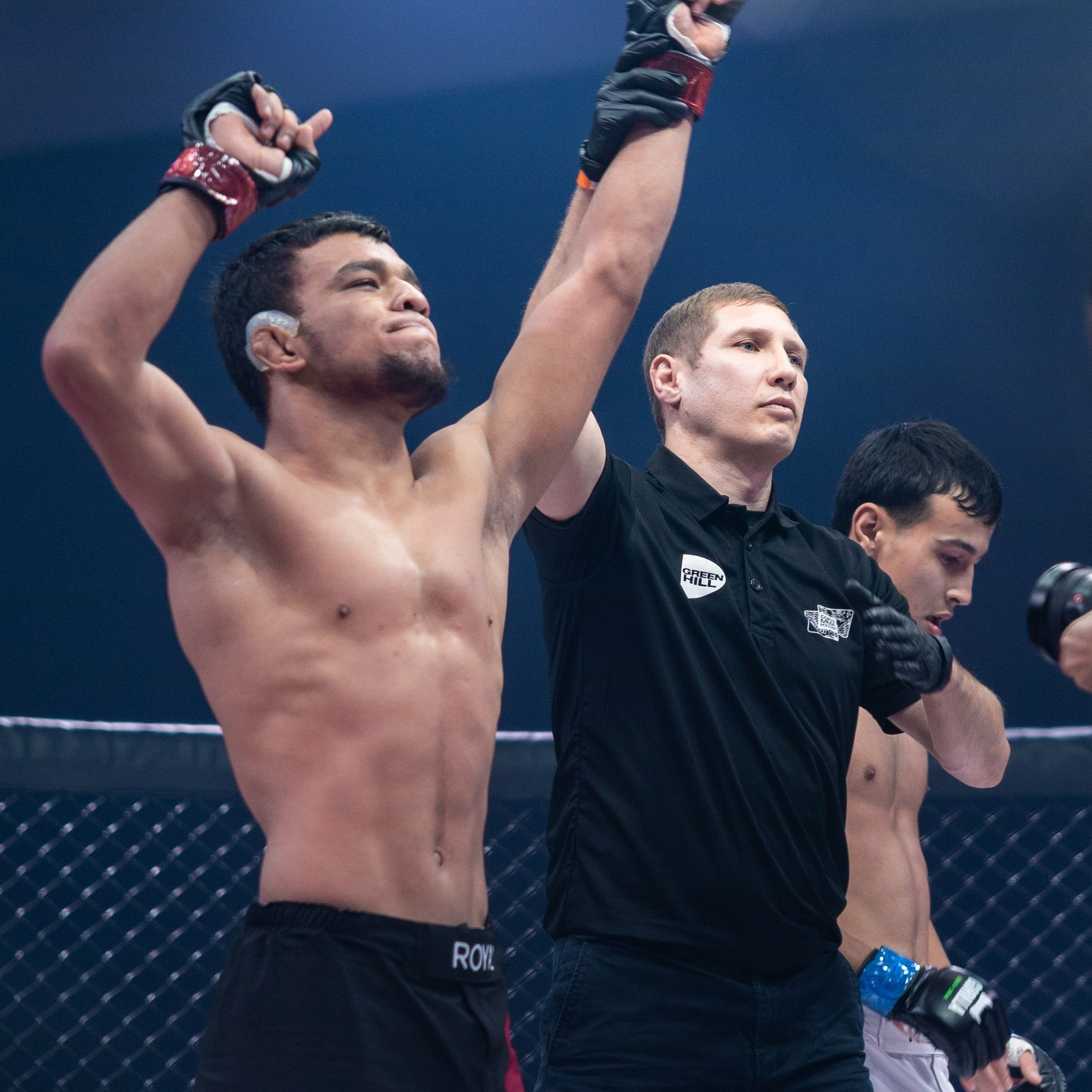 MMA/Royal Battle Show. Свадебный фотограф в Нижнем Новгороде и Москве Виктор Баринов