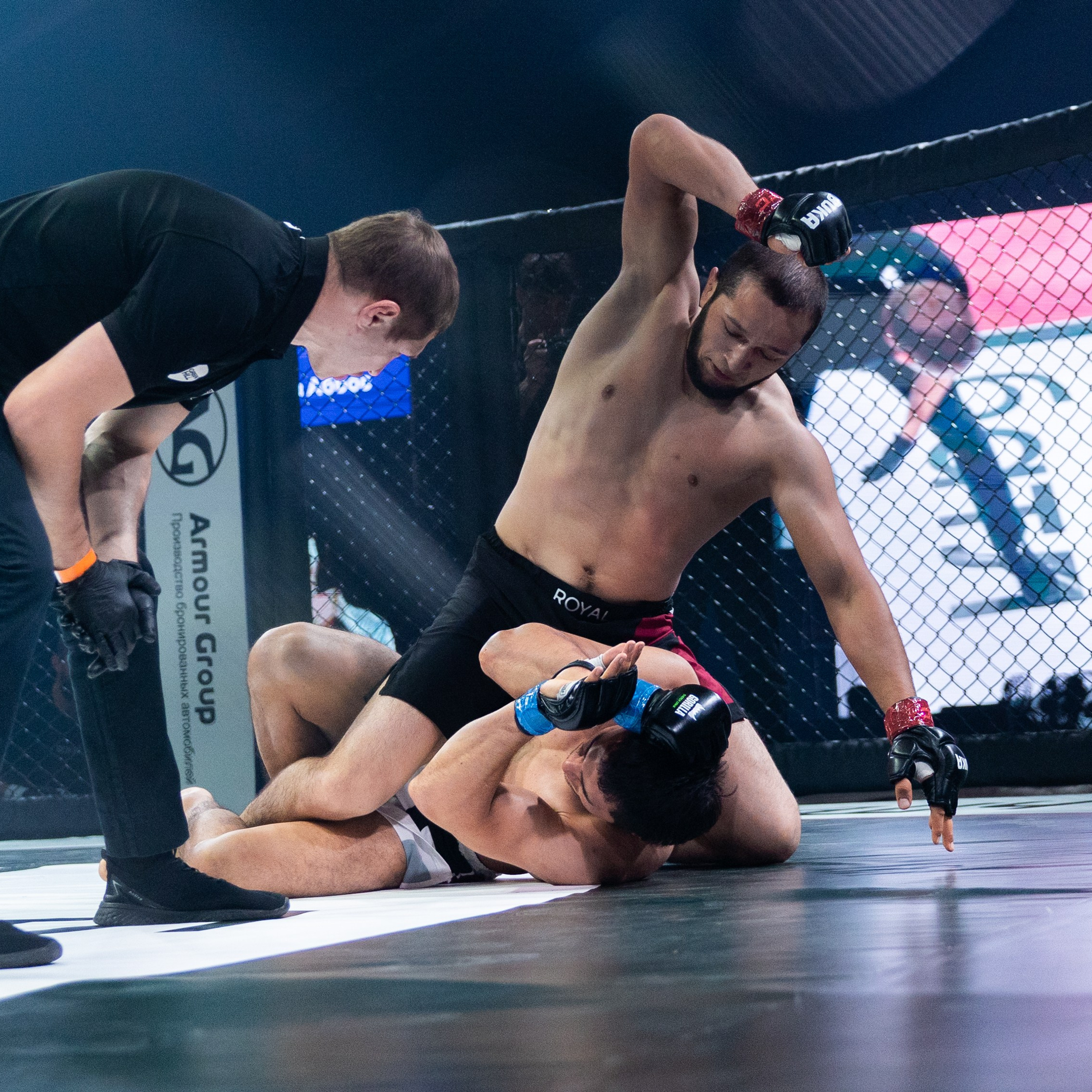MMA/Royal Battle Show. Свадебный фотограф в Нижнем Новгороде и Москве Виктор Баринов