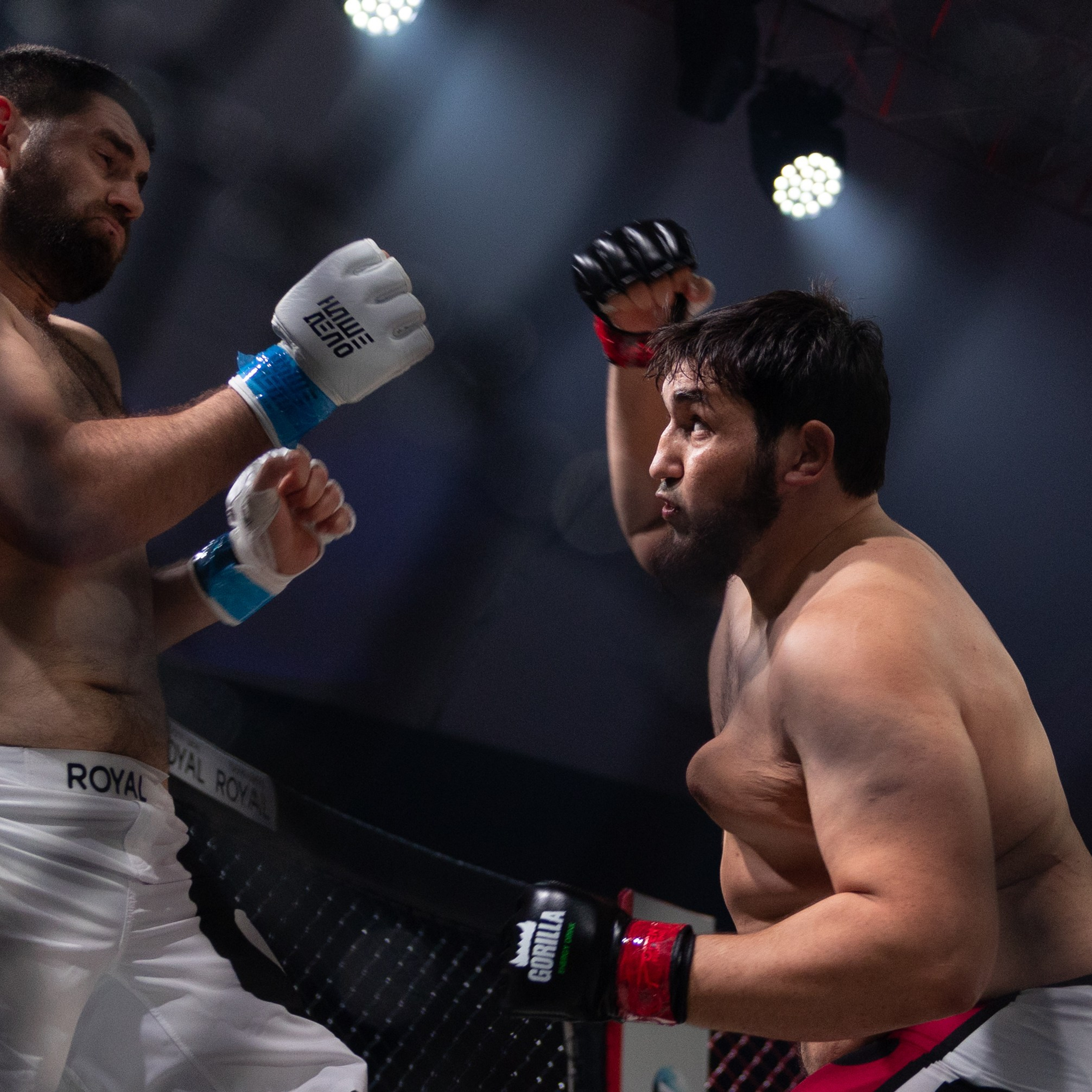MMA/Royal Battle Show. Свадебный фотограф в Нижнем Новгороде и Москве Виктор Баринов