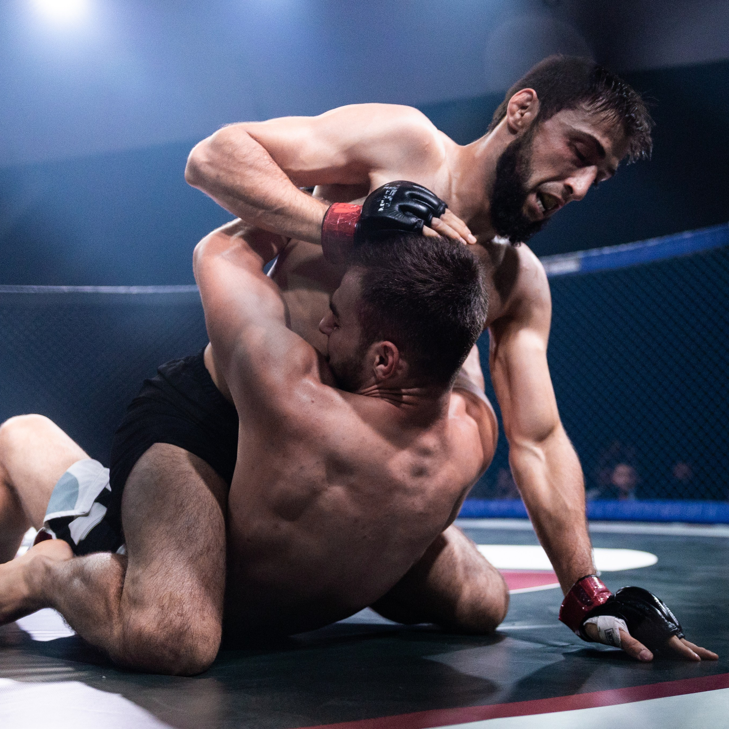 MMA/Royal Battle Show. Свадебный фотограф в Нижнем Новгороде и Москве Виктор Баринов