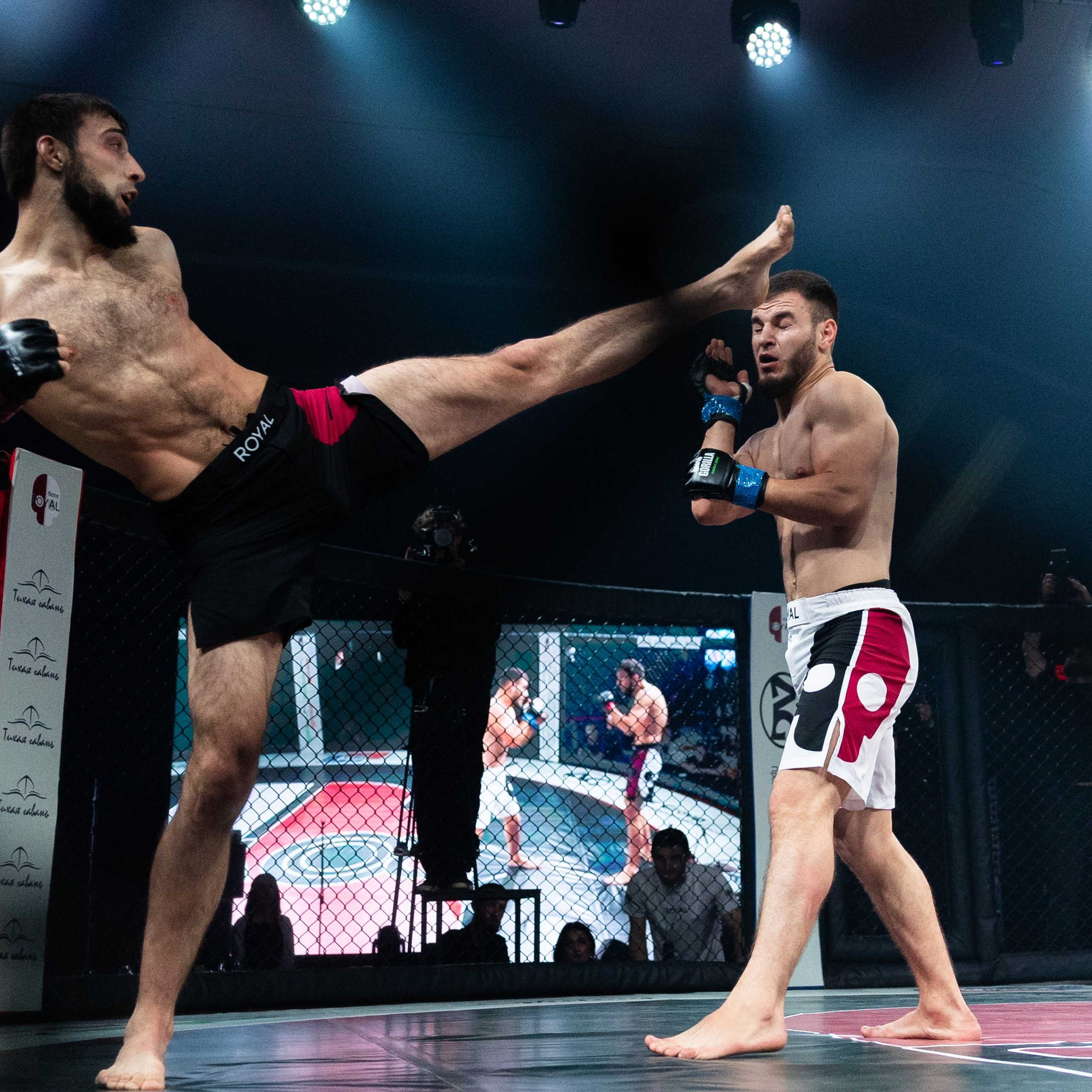 MMA/Royal Battle Show. Свадебный фотограф в Нижнем Новгороде и Москве Виктор Баринов