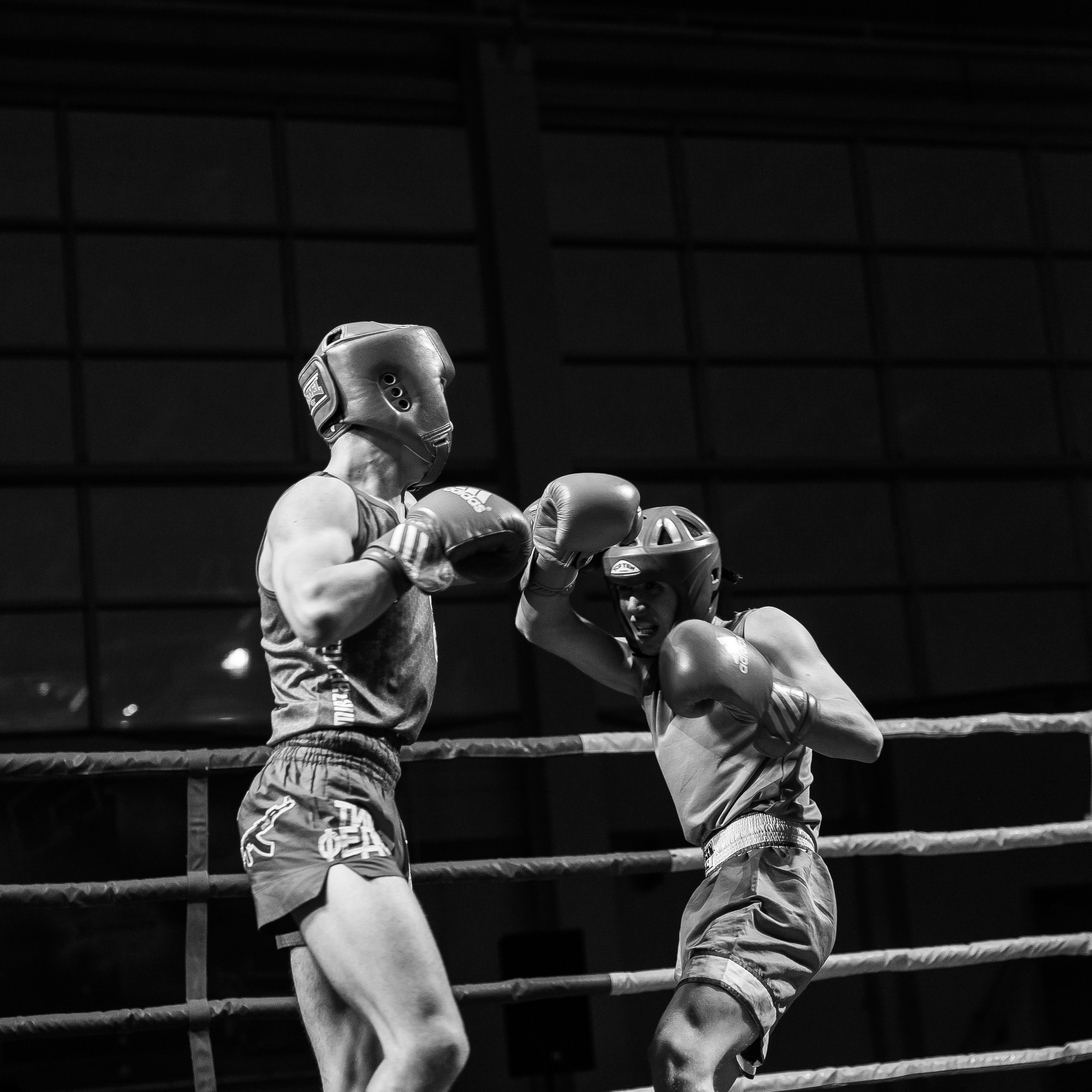 Лига «NFC» турнир по К-1 ФОК «Звездный» г. Арзамас. Свадебный фотограф в Нижнем Новгороде и Москве Виктор Баринов