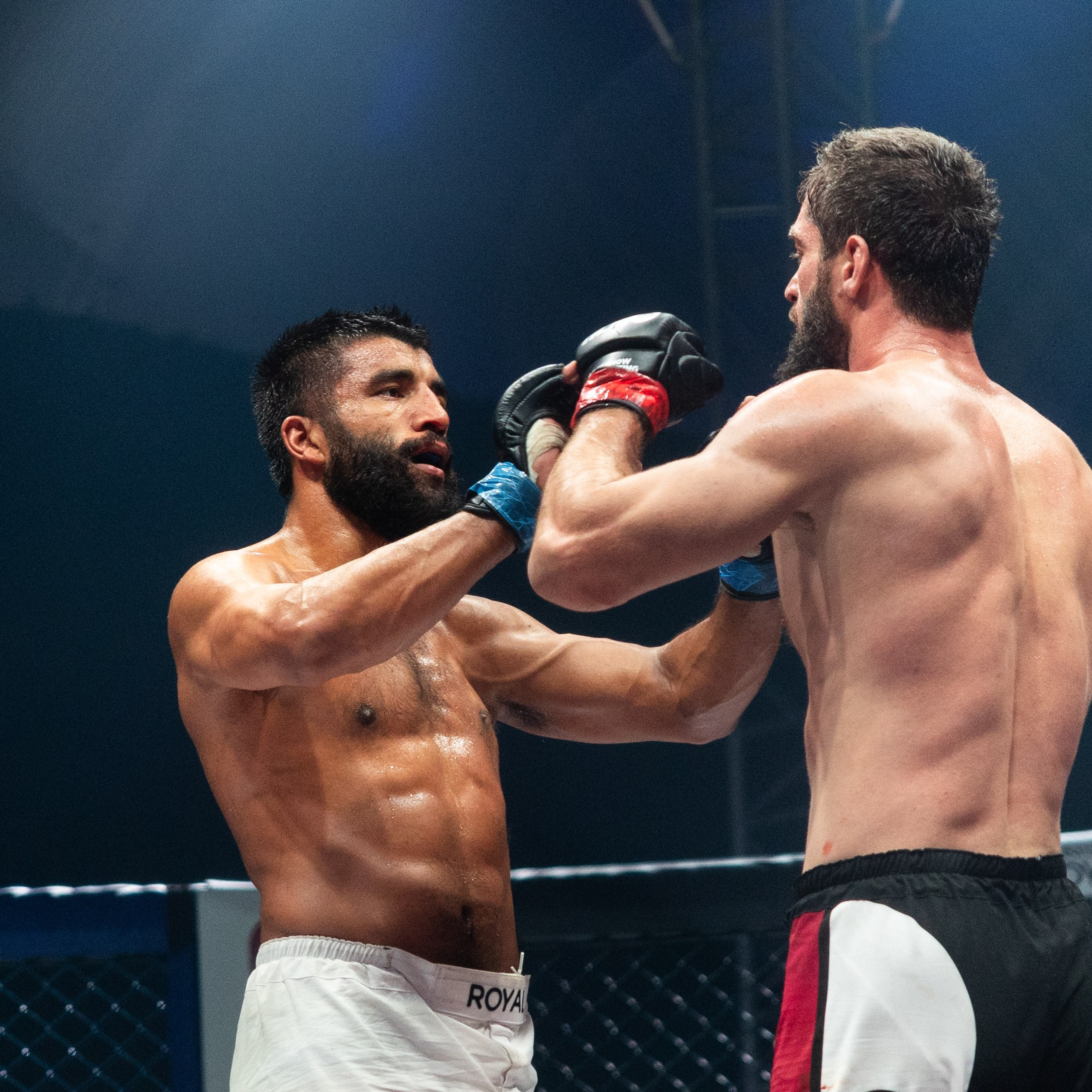 MMA/Royal Battle Show. Свадебный фотограф в Нижнем Новгороде и Москве Виктор Баринов