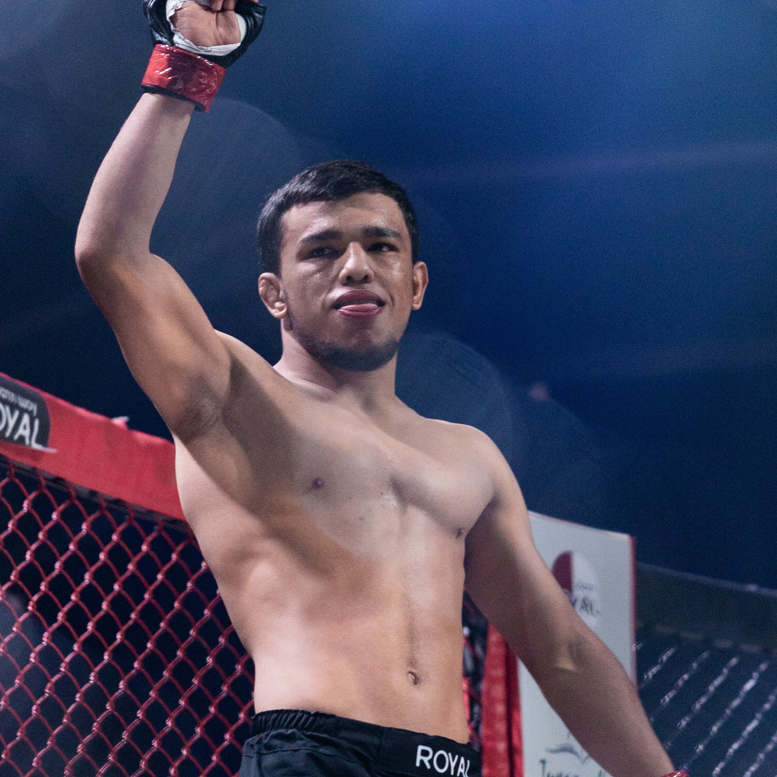 MMA/Royal Battle Show. Свадебный фотограф в Нижнем Новгороде и Москве Виктор Баринов
