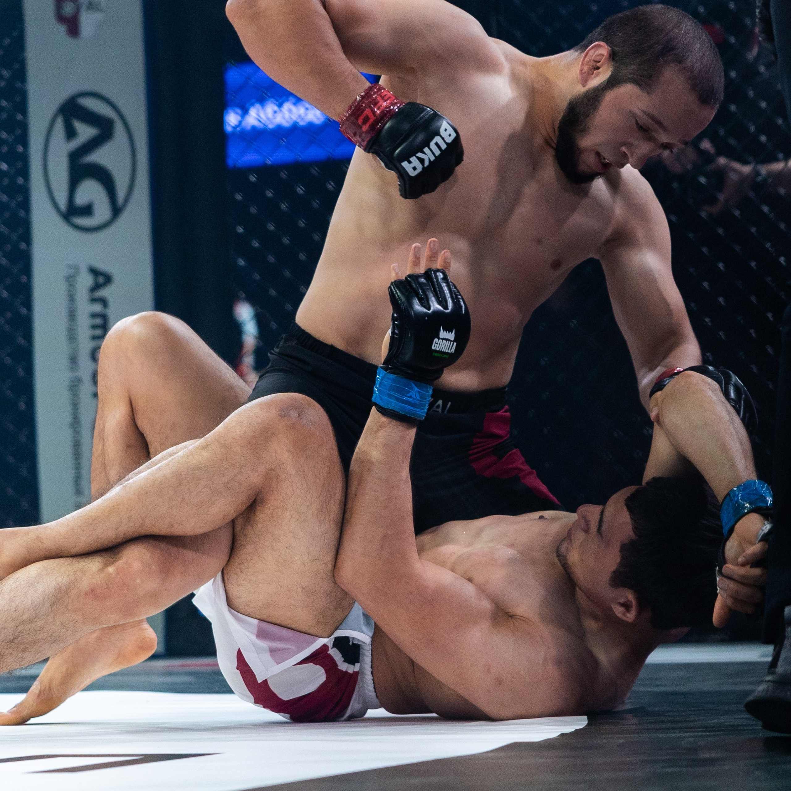 MMA/Royal Battle Show. Свадебный фотограф в Нижнем Новгороде и Москве Виктор Баринов
