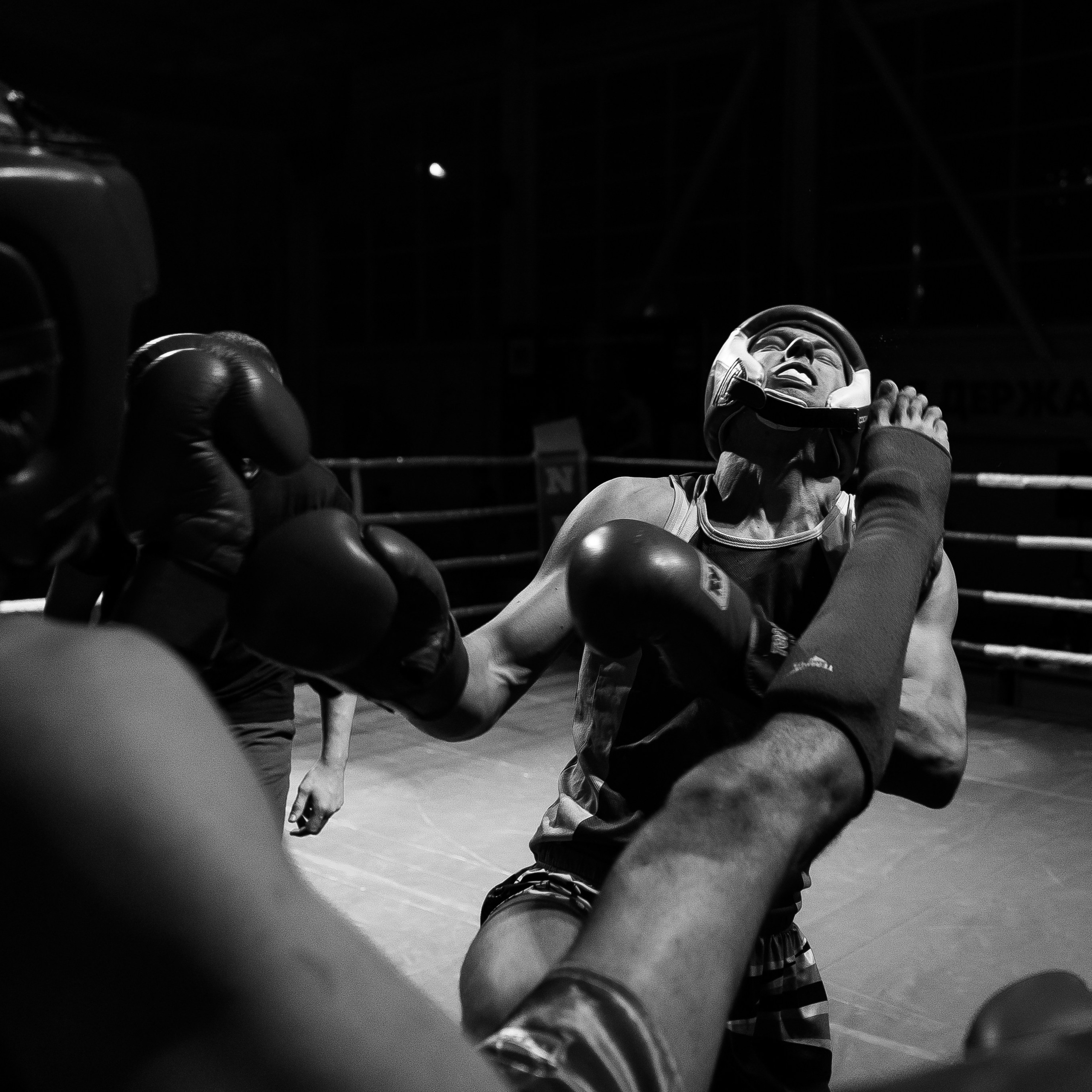 Лига «NFC» турнир по К-1 ФОК «Звездный» г. Арзамас. Свадебный фотограф в Нижнем Новгороде и Москве Виктор Баринов