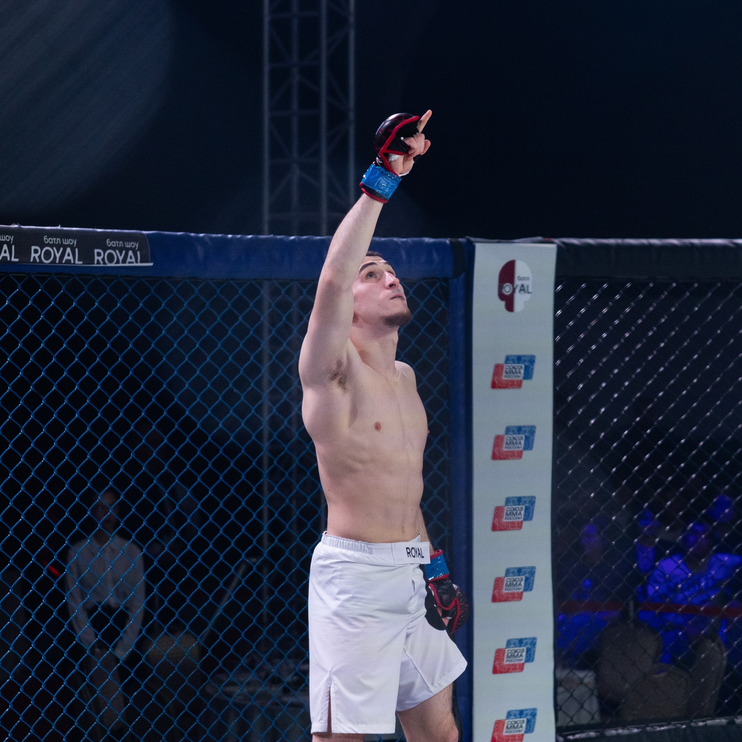 MMA/Royal Battle Show. Свадебный фотограф в Нижнем Новгороде и Москве Виктор Баринов