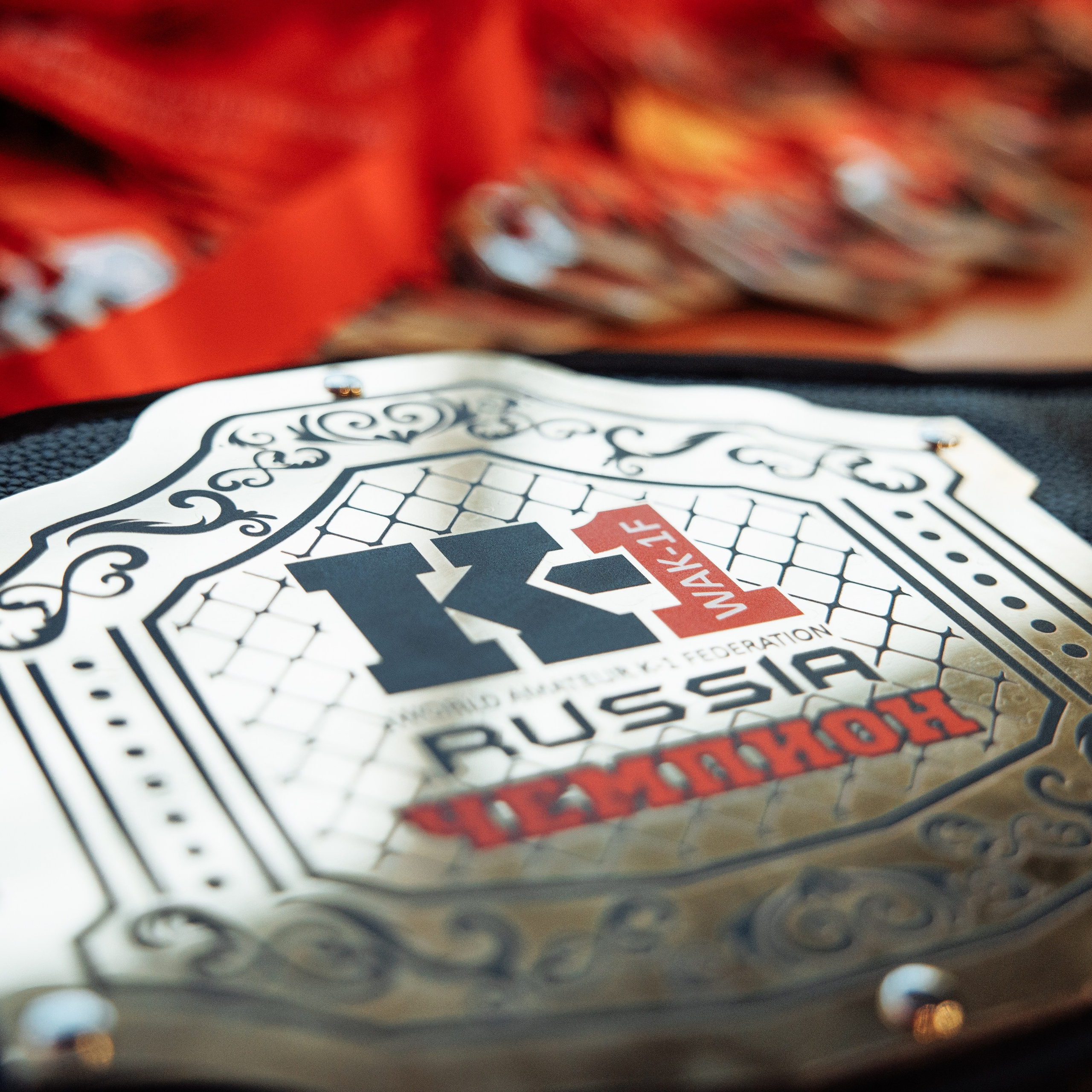 Лига «NFC» турнир по К-1 ФОК «Звездный» г. Арзамас. Свадебный фотограф в Нижнем Новгороде и Москве Виктор Баринов