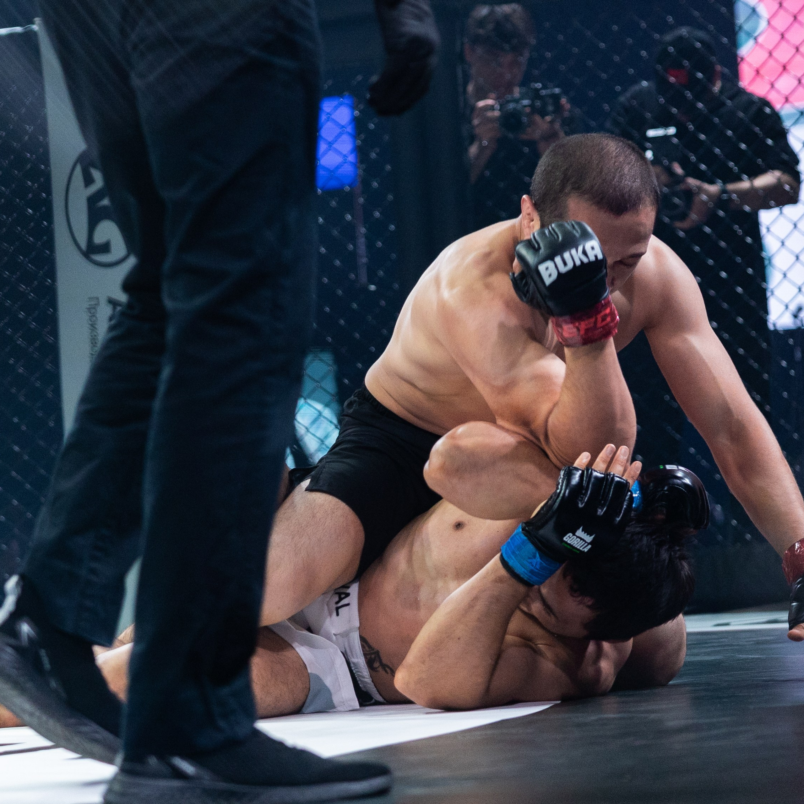 MMA/Royal Battle Show. Свадебный фотограф в Нижнем Новгороде и Москве Виктор Баринов