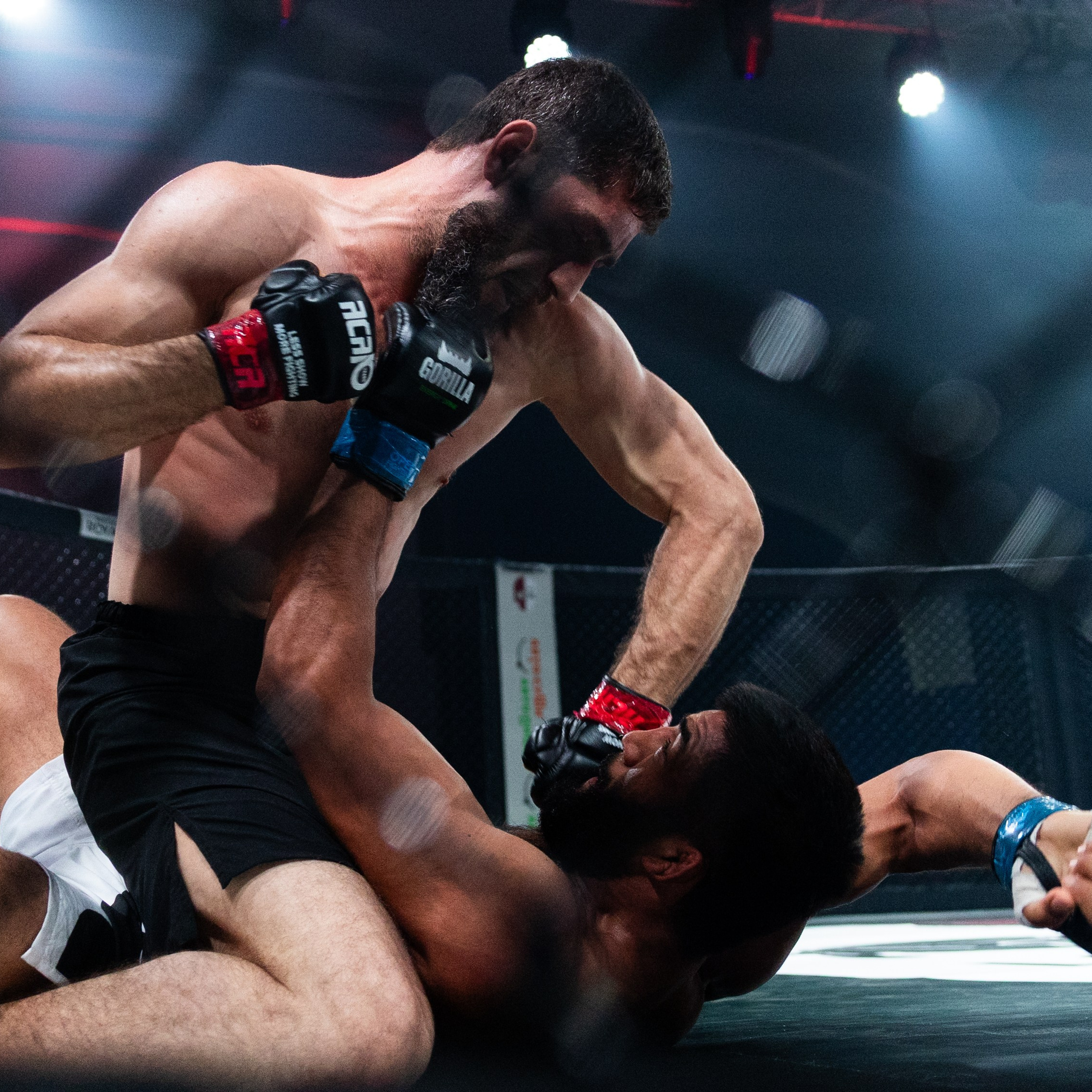 MMA/Royal Battle Show. Свадебный фотограф в Нижнем Новгороде и Москве Виктор Баринов