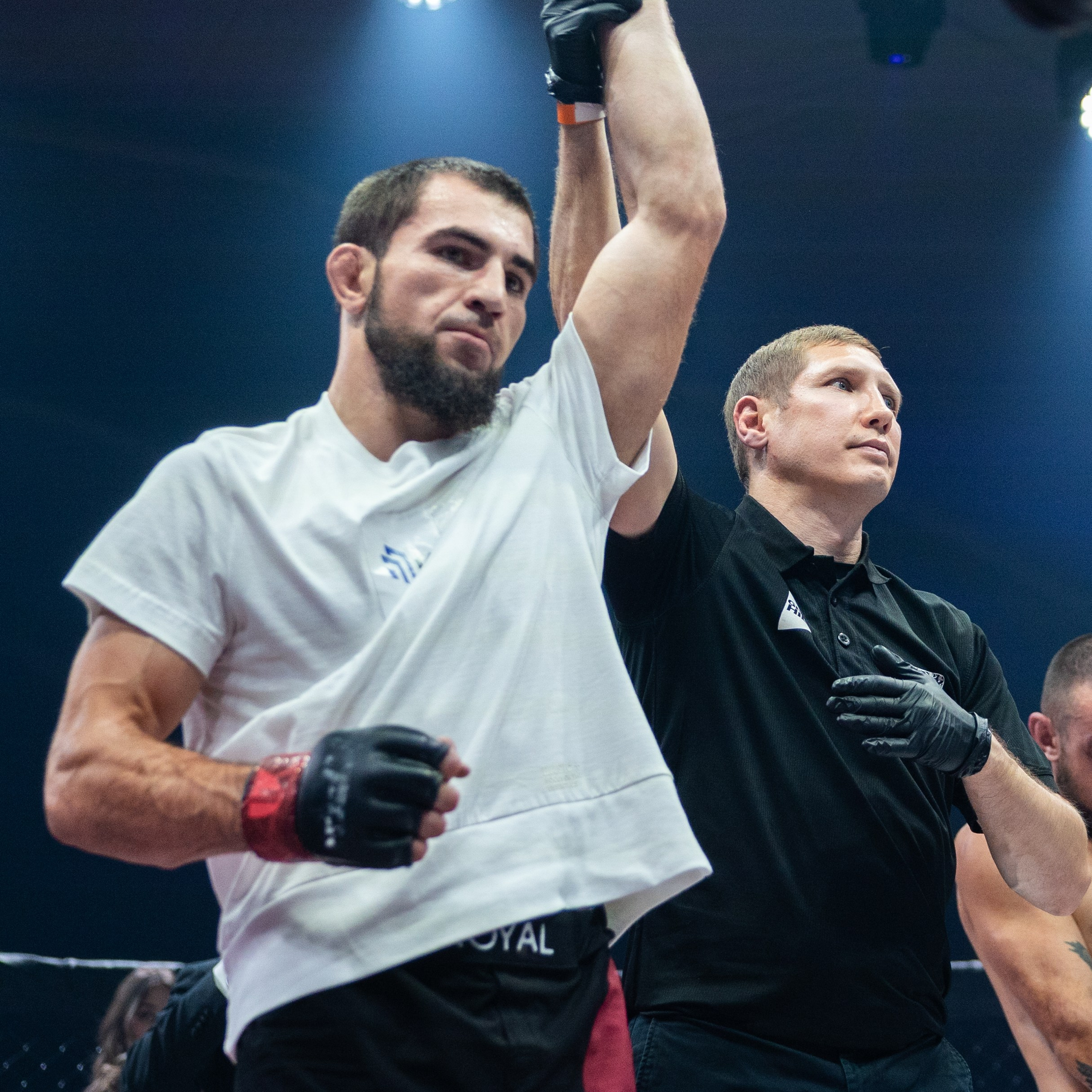 MMA/Royal Battle Show. Свадебный фотограф в Нижнем Новгороде и Москве Виктор Баринов