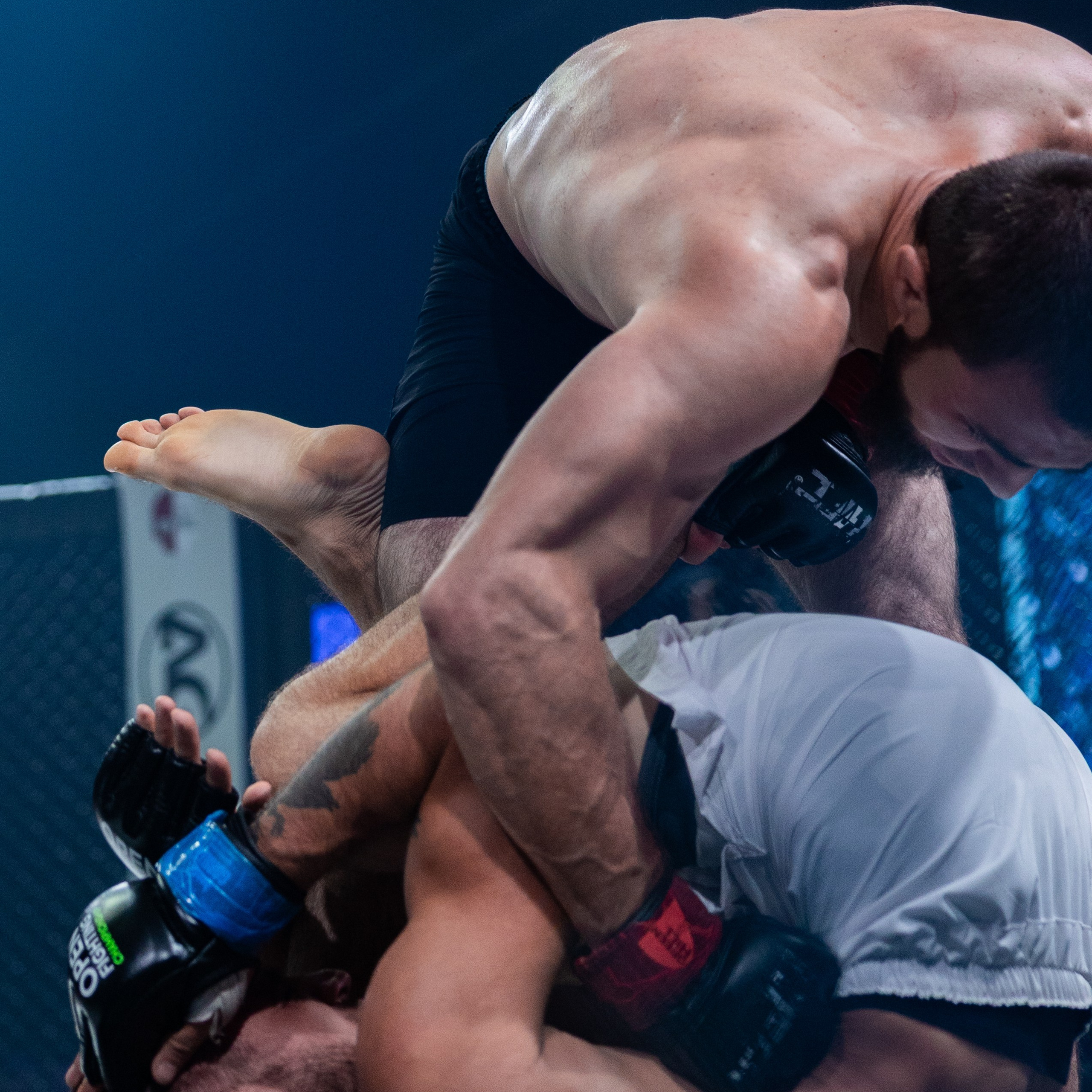 MMA/Royal Battle Show. Свадебный фотограф в Нижнем Новгороде и Москве Виктор Баринов