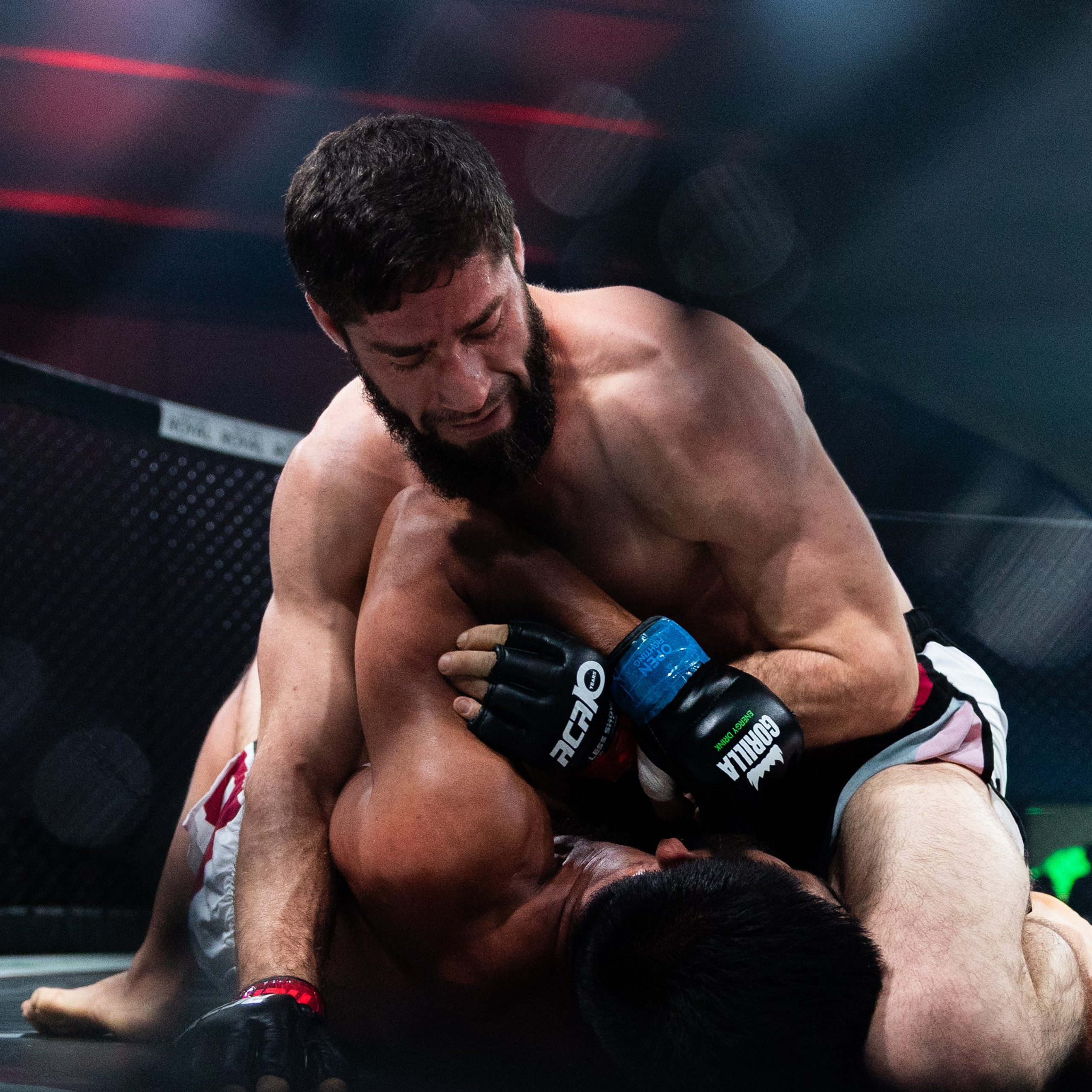 MMA/Royal Battle Show. Свадебный фотограф в Нижнем Новгороде и Москве Виктор Баринов