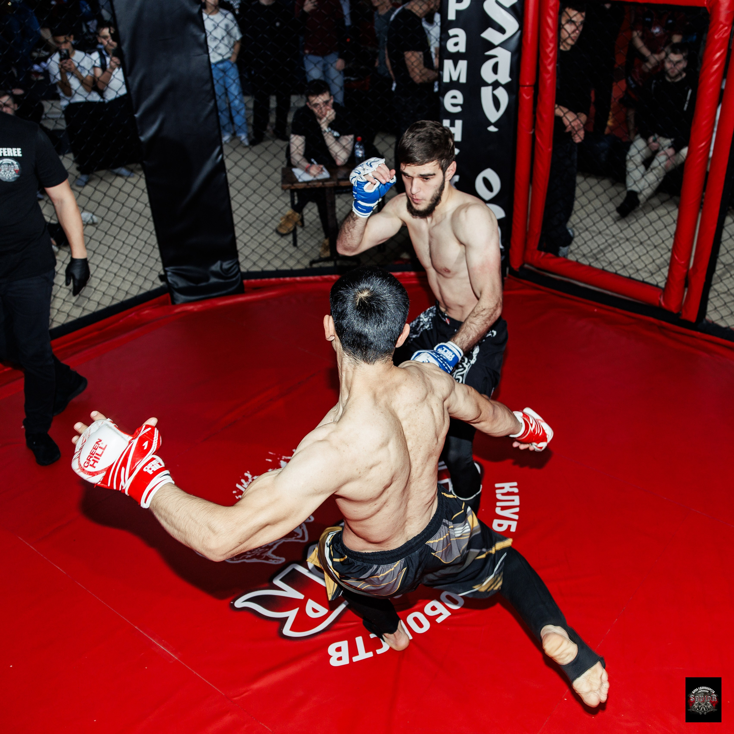 Турнир по ММА на призы клуба «SAVIOR» г. Москва. Свадебный фотограф в Нижнем Новгороде и Москве Виктор Баринов