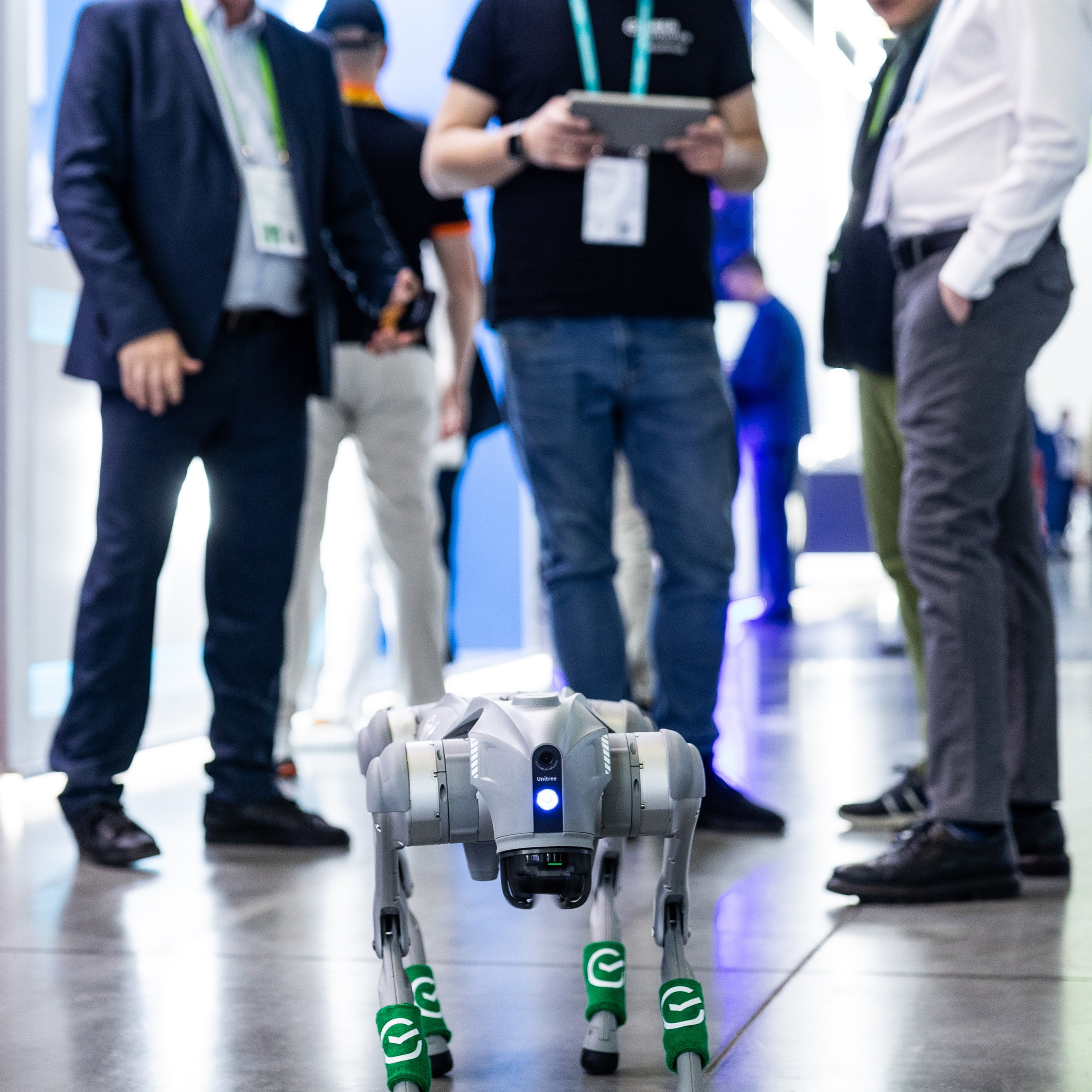 ЦИПР 2024. Свадебный фотограф в Нижнем Новгороде и Москве Виктор Баринов