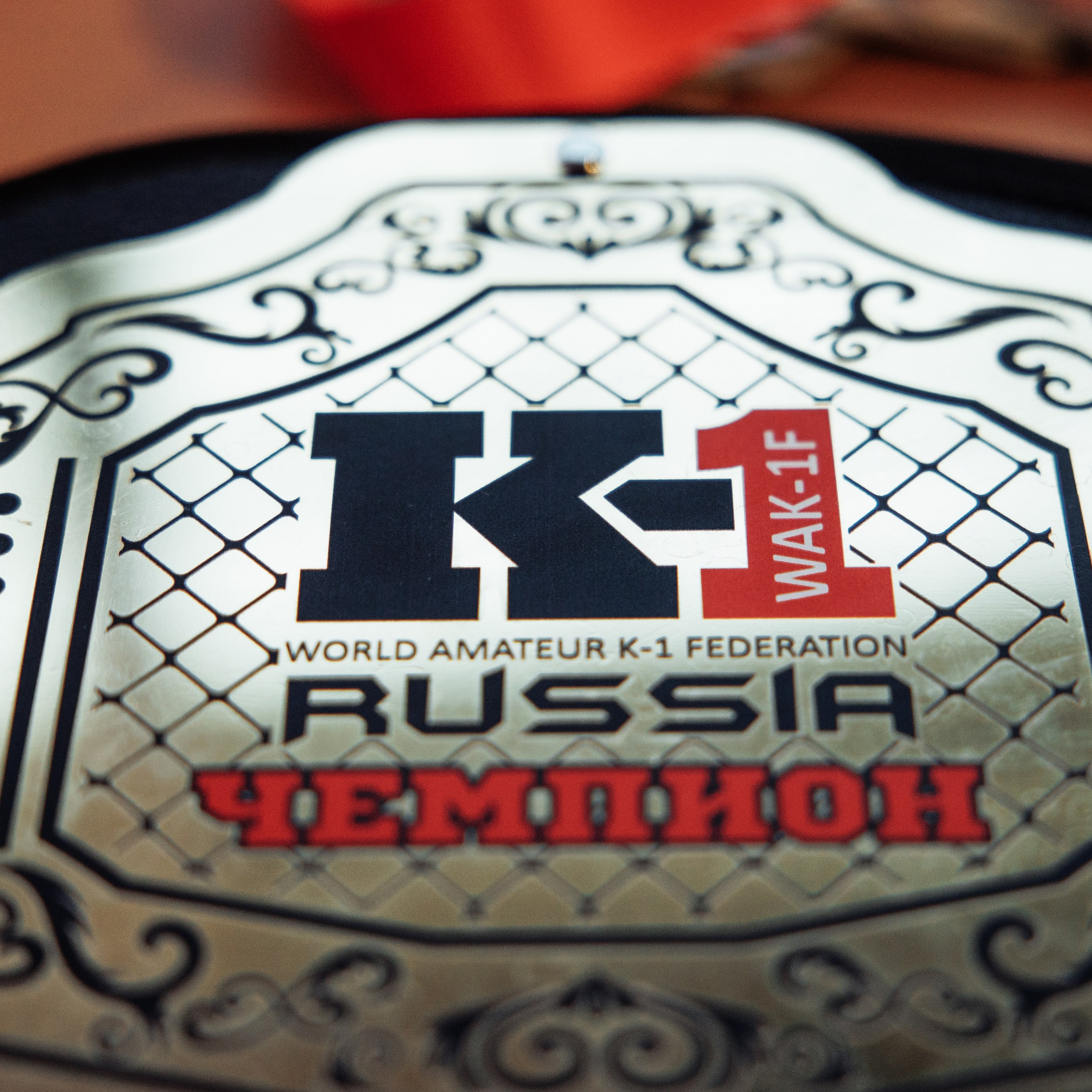 Лига «NFC» турнир по К-1 ФОК «Звездный» г. Арзамас. Свадебный фотограф в Нижнем Новгороде и Москве Виктор Баринов