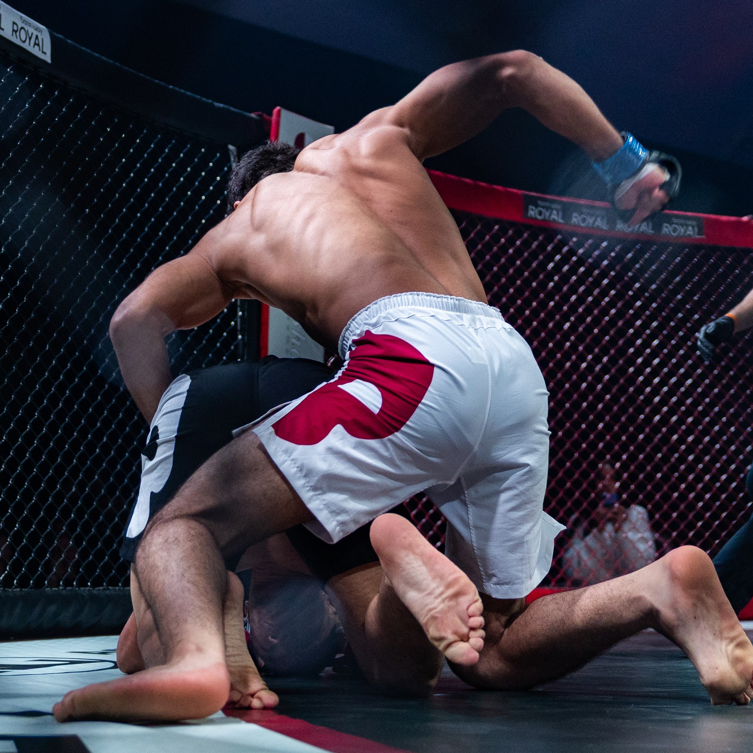MMA/Royal Battle Show. Свадебный фотограф в Нижнем Новгороде и Москве Виктор Баринов