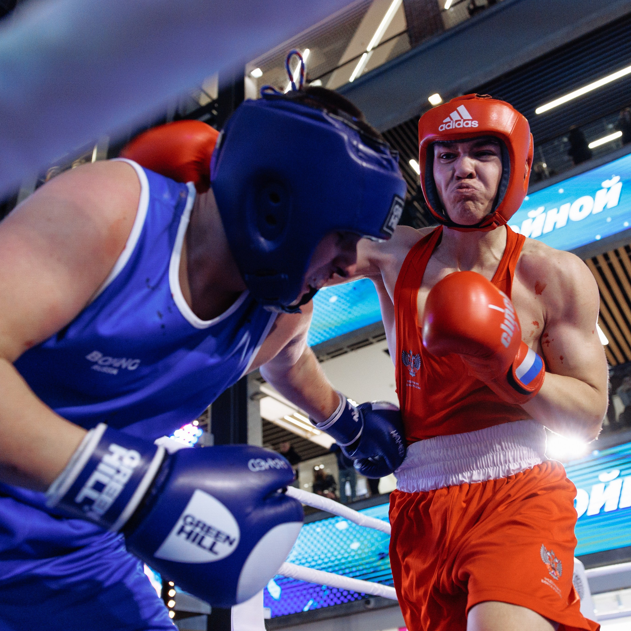 Турнир по боксу «Двойной удар» ТРК «Небо». Свадебный фотограф в Нижнем Новгороде и Москве Виктор Баринов