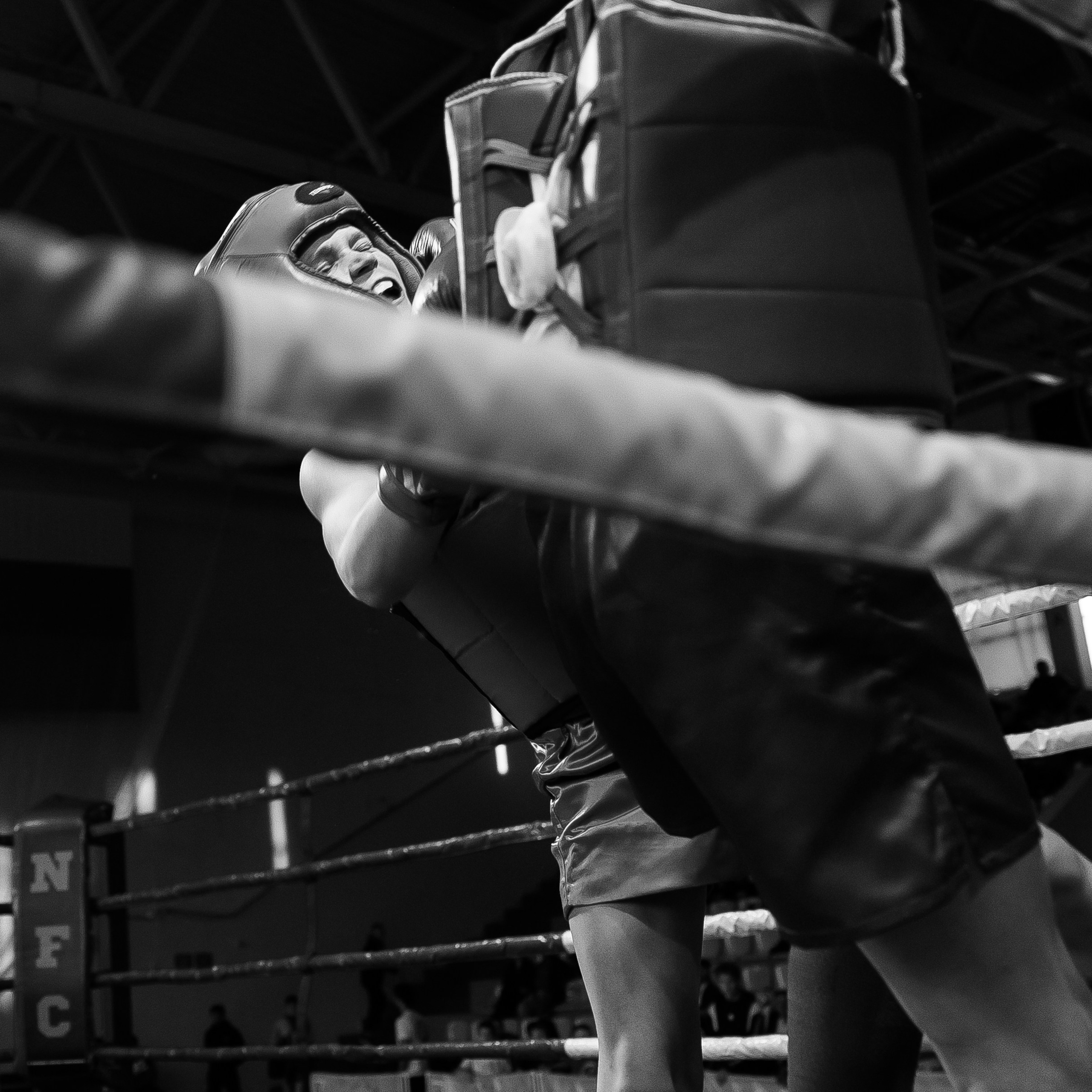 Лига «NFC» турнир по К-1 ФОК «Звездный» г. Арзамас. Свадебный фотограф в Нижнем Новгороде и Москве Виктор Баринов