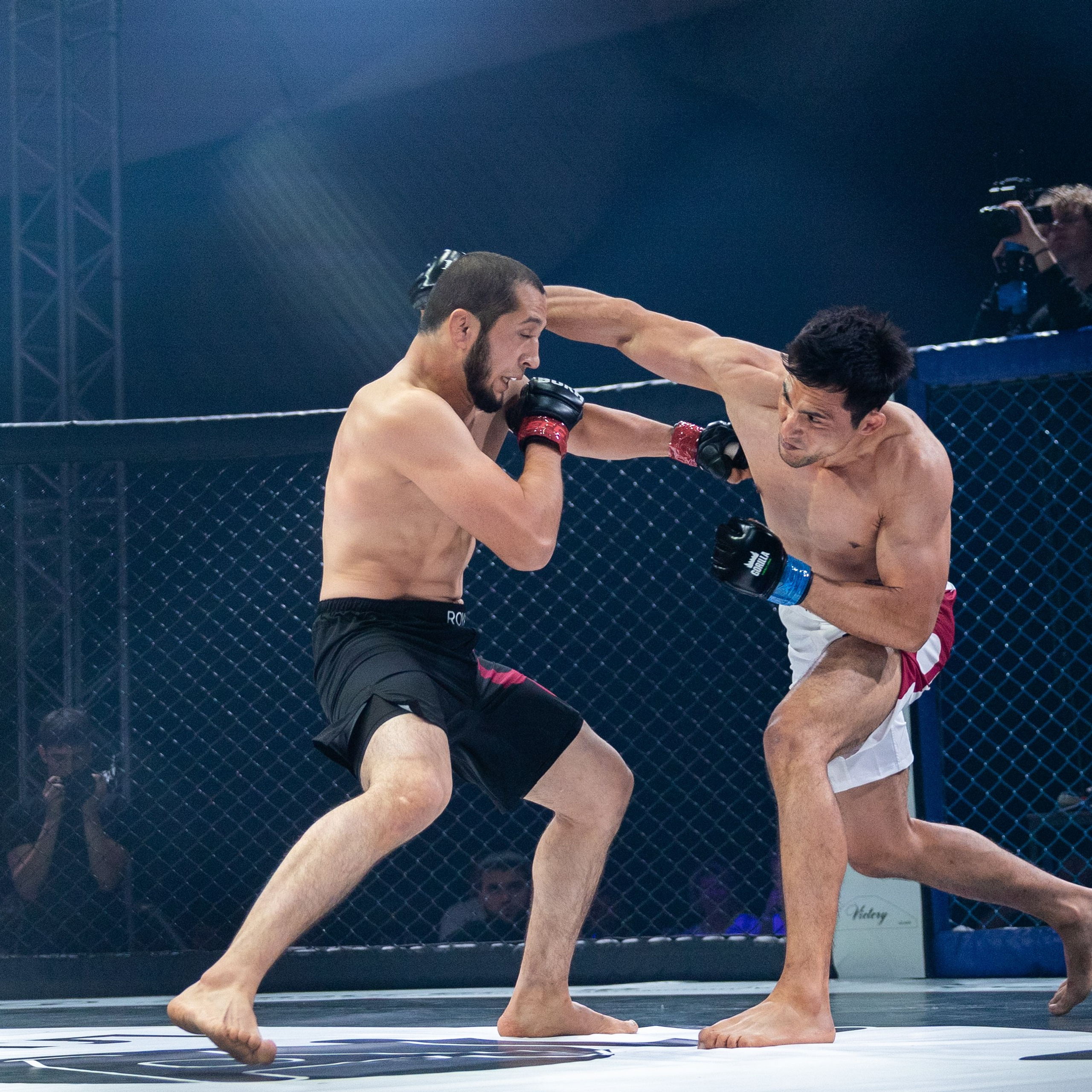 MMA/Royal Battle Show. Свадебный фотограф в Нижнем Новгороде и Москве Виктор Баринов