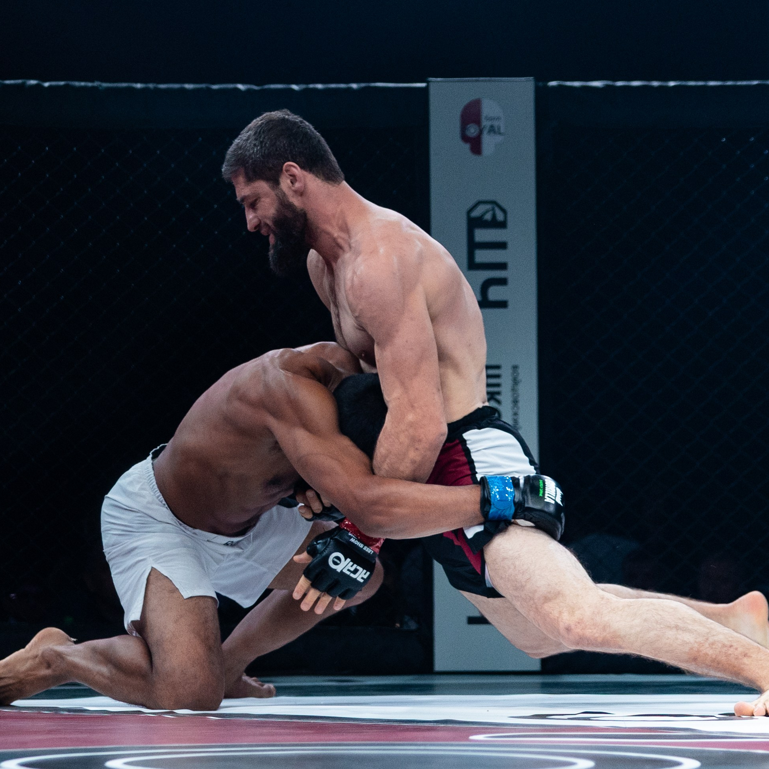 MMA/Royal Battle Show. Свадебный фотограф в Нижнем Новгороде и Москве Виктор Баринов