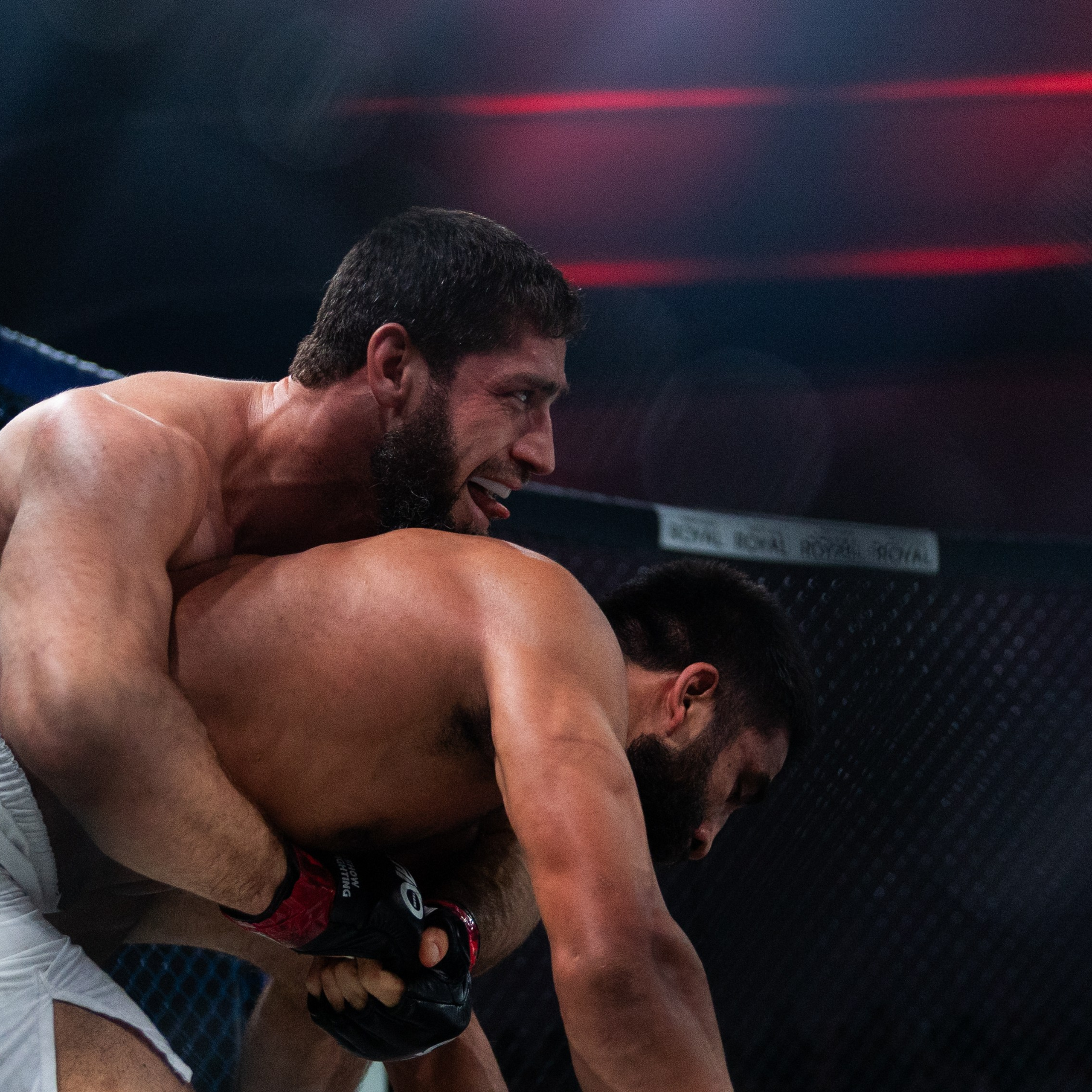 MMA/Royal Battle Show. Свадебный фотограф в Нижнем Новгороде и Москве Виктор Баринов