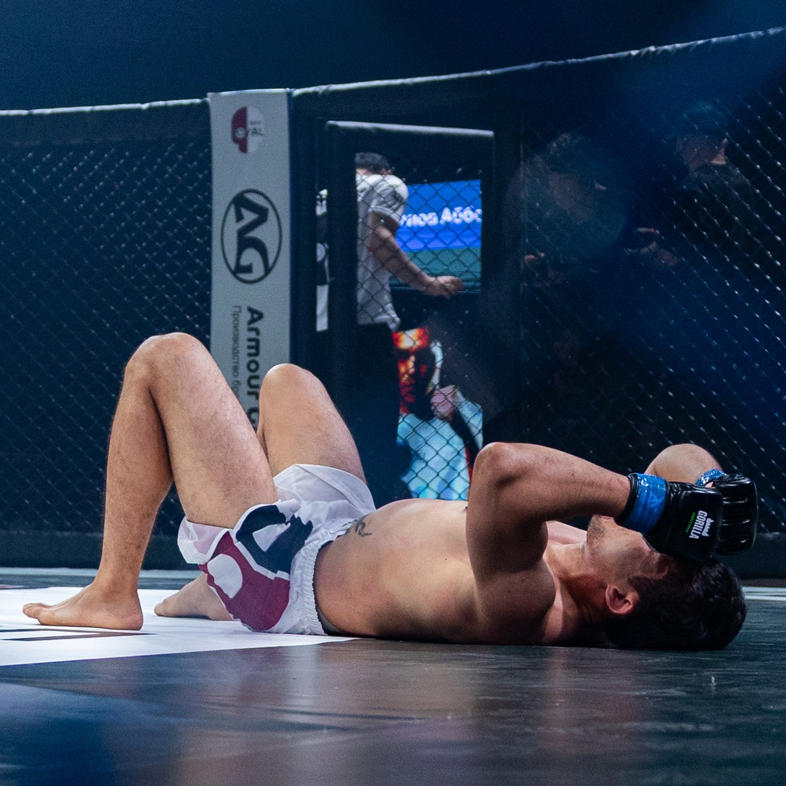 MMA/Royal Battle Show. Свадебный фотограф в Нижнем Новгороде и Москве Виктор Баринов