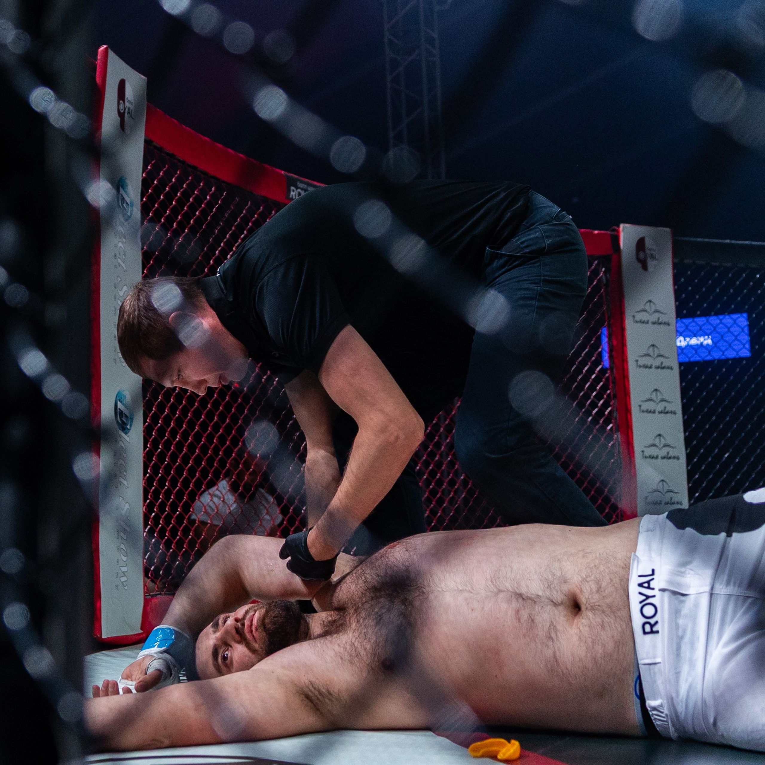MMA/Royal Battle Show. Свадебный фотограф в Нижнем Новгороде и Москве Виктор Баринов