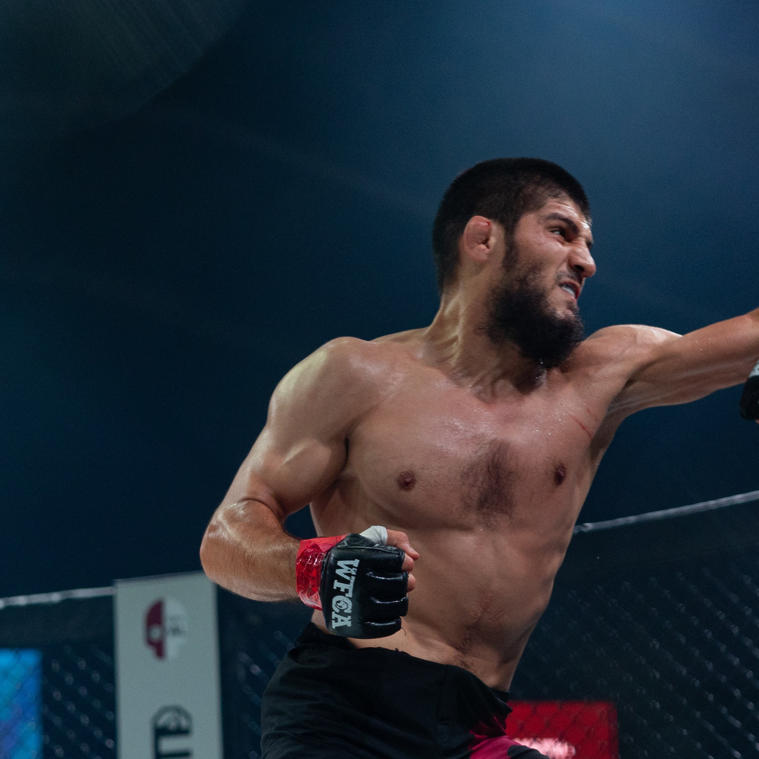 MMA/Royal Battle Show. Свадебный фотограф в Нижнем Новгороде и Москве Виктор Баринов