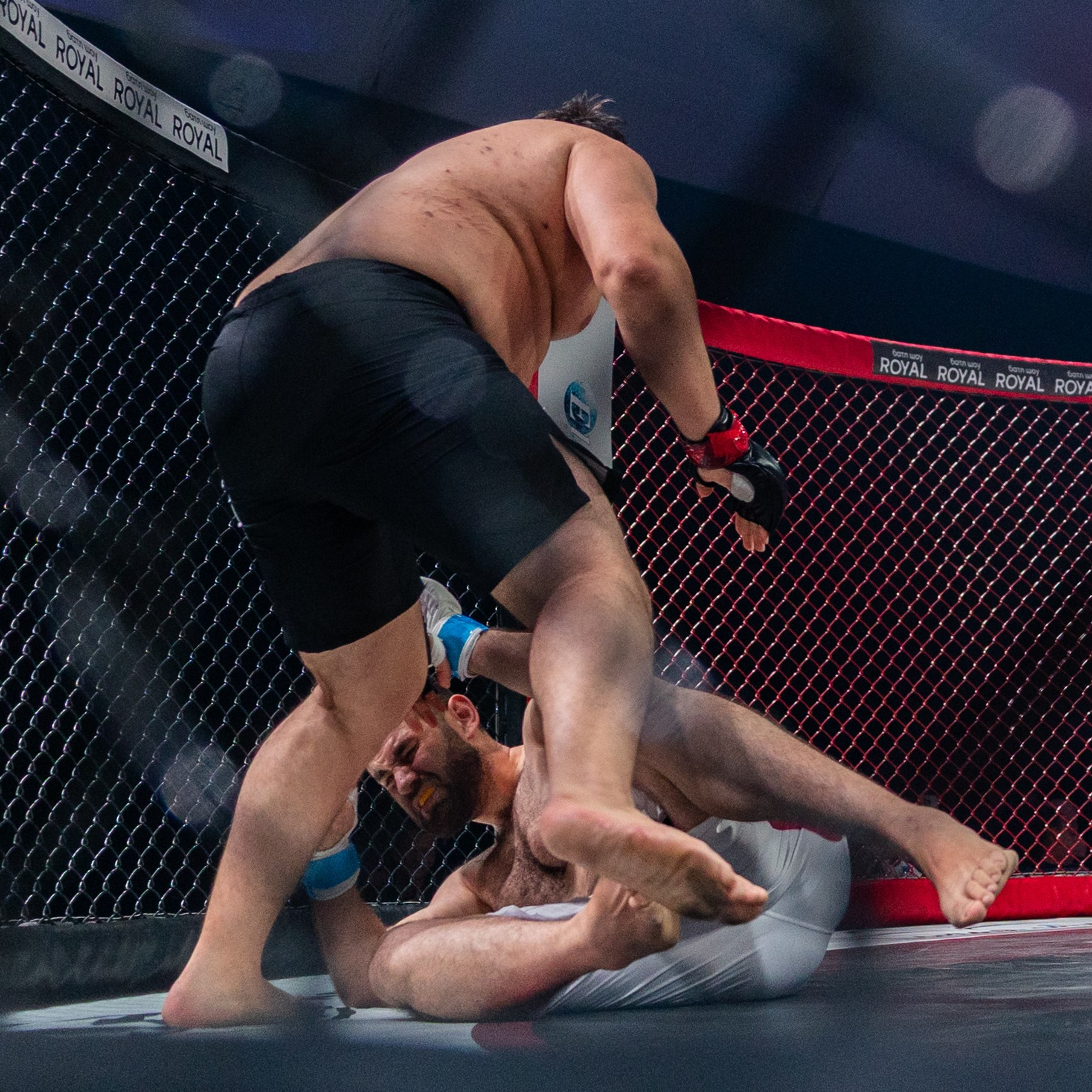 MMA/Royal Battle Show. Свадебный фотограф в Нижнем Новгороде и Москве Виктор Баринов