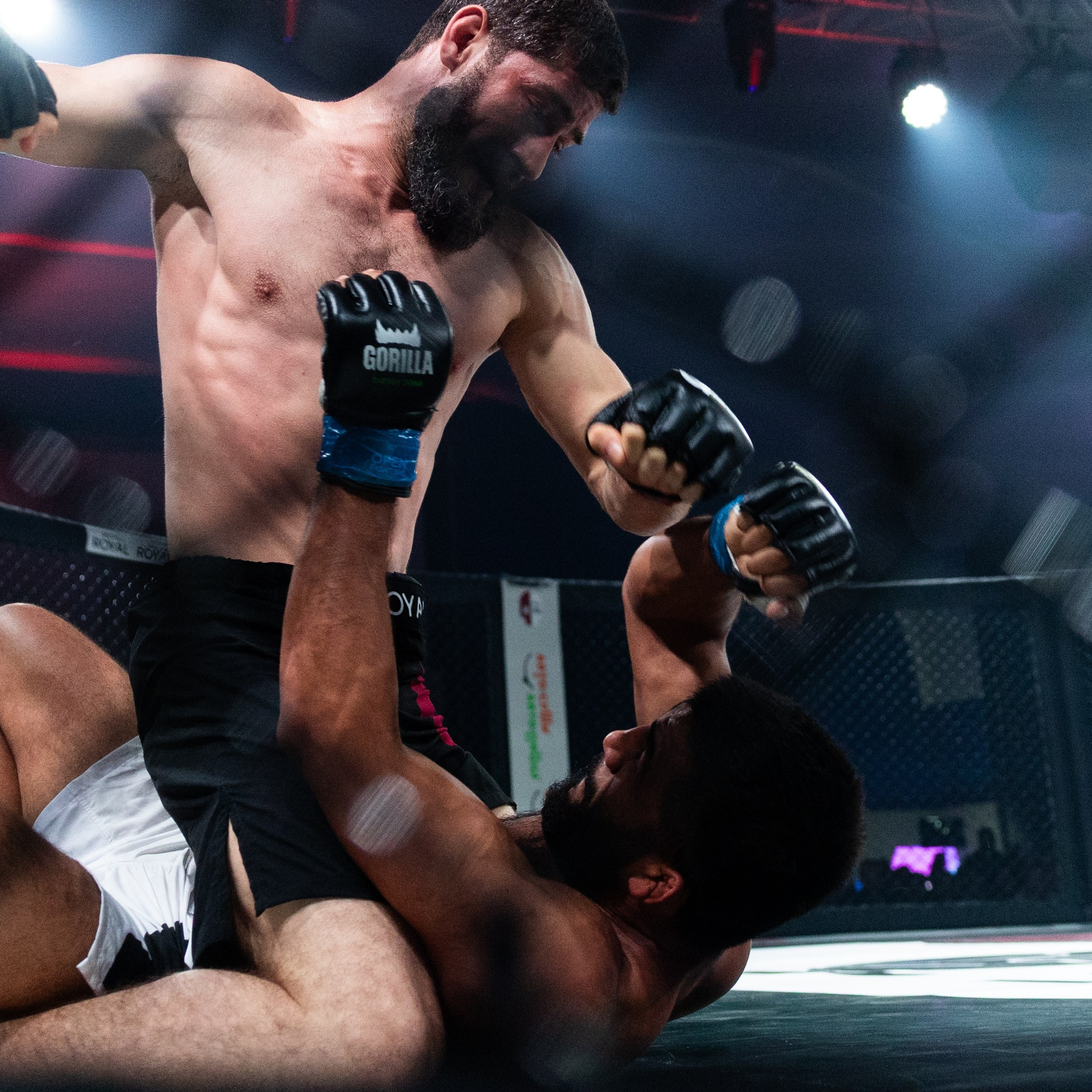 MMA/Royal Battle Show. Свадебный фотограф в Нижнем Новгороде и Москве Виктор Баринов