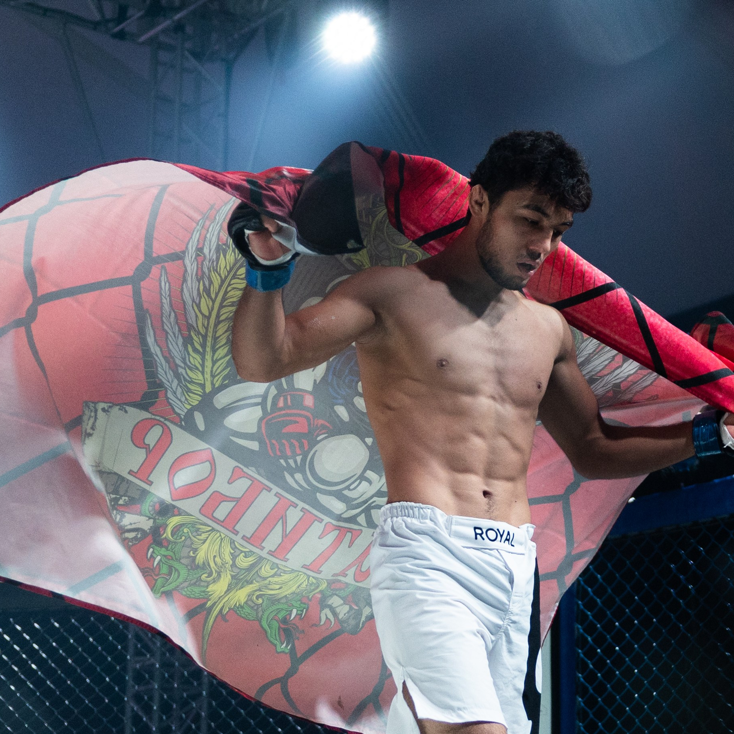 MMA/Royal Battle Show. Свадебный фотограф в Нижнем Новгороде и Москве Виктор Баринов
