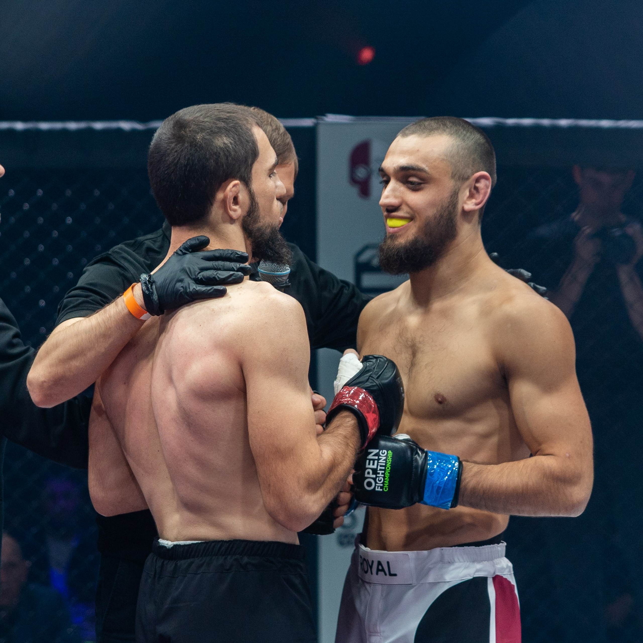 MMA/Royal Battle Show. Свадебный фотограф в Нижнем Новгороде и Москве Виктор Баринов