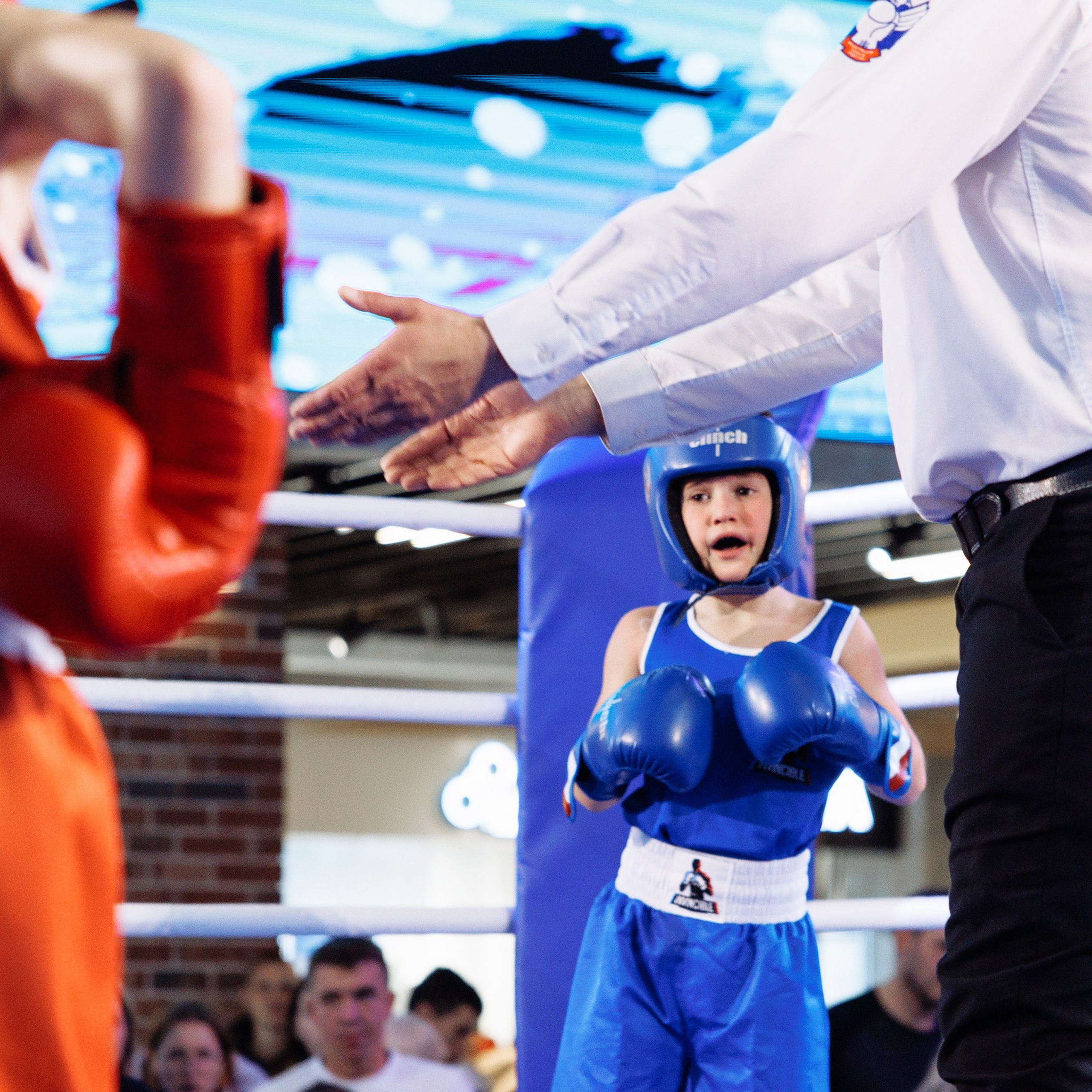 Турнир по боксу «Двойной удар» ТРК «Небо». Свадебный фотограф в Нижнем Новгороде и Москве Виктор Баринов