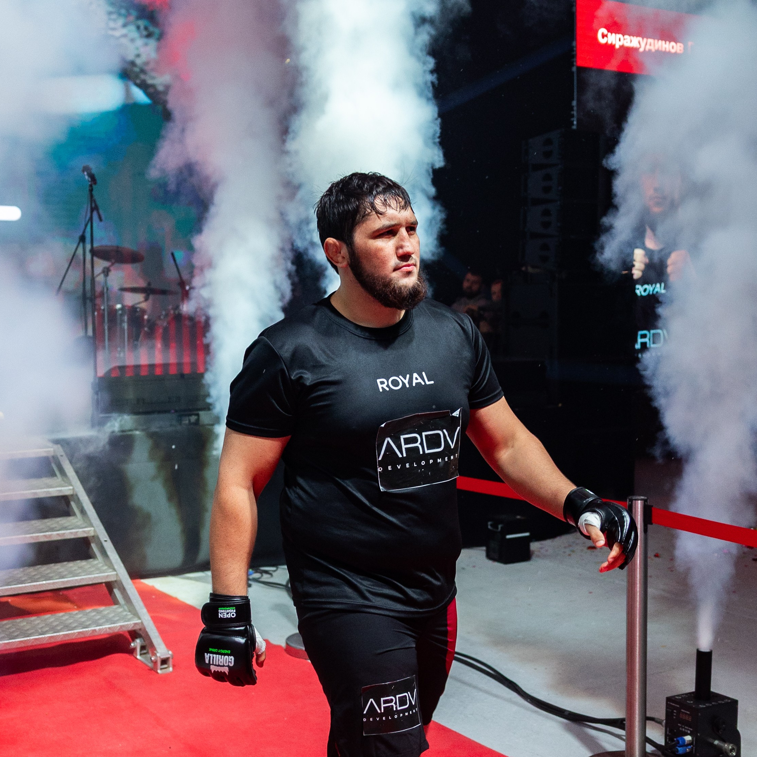 MMA/Royal Battle Show. Свадебный фотограф в Нижнем Новгороде и Москве Виктор Баринов