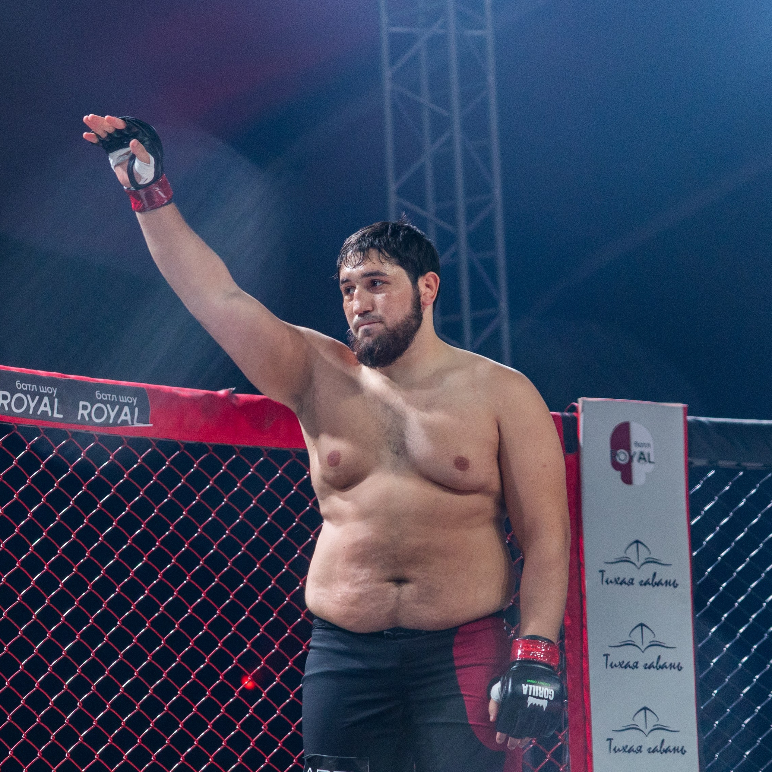 MMA/Royal Battle Show. Свадебный фотограф в Нижнем Новгороде и Москве Виктор Баринов