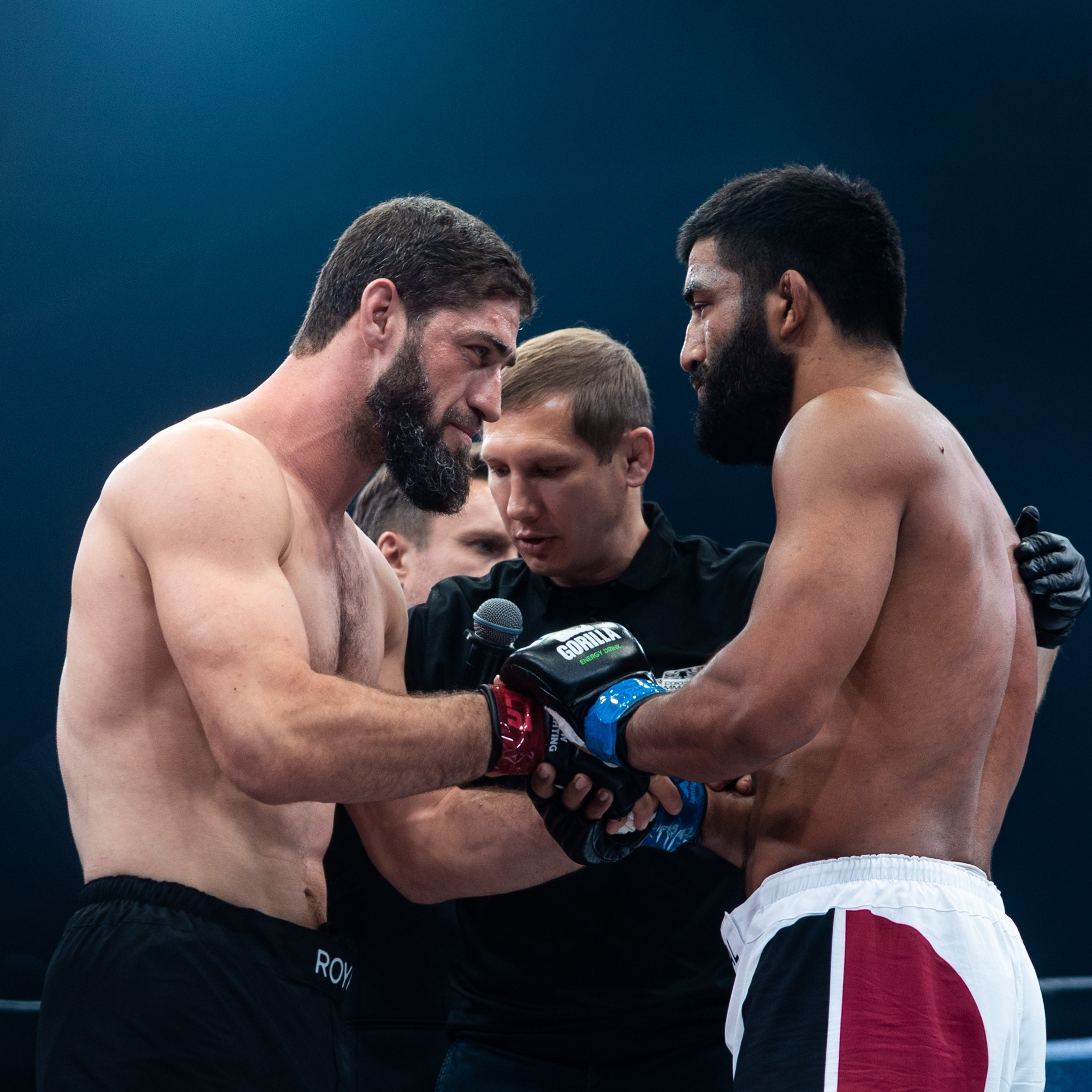 MMA/Royal Battle Show. Свадебный фотограф в Нижнем Новгороде и Москве Виктор Баринов