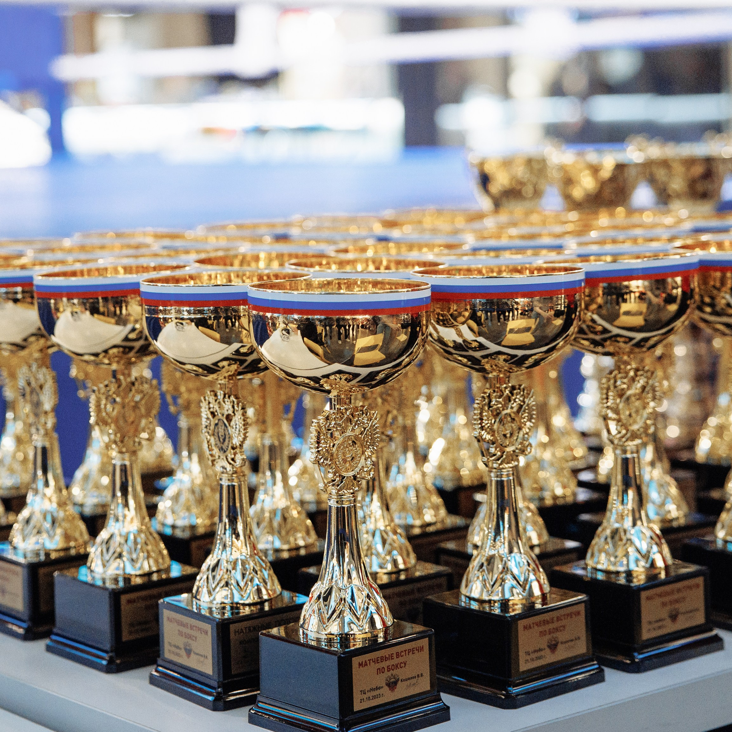 Турнир по боксу «Двойной удар» ТРК «Небо». Свадебный фотограф в Нижнем Новгороде и Москве Виктор Баринов