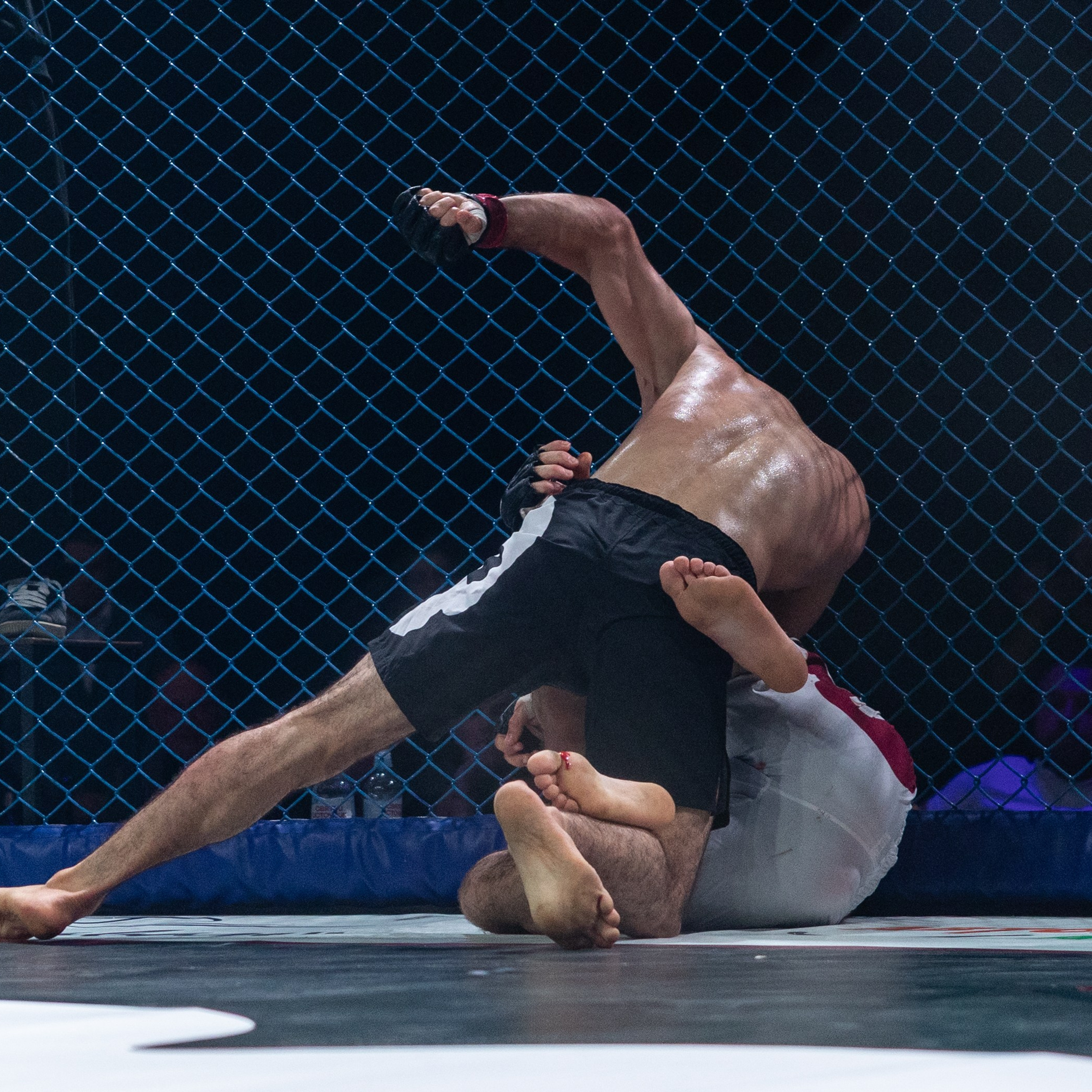 MMA/Royal Battle Show. Свадебный фотограф в Нижнем Новгороде и Москве Виктор Баринов