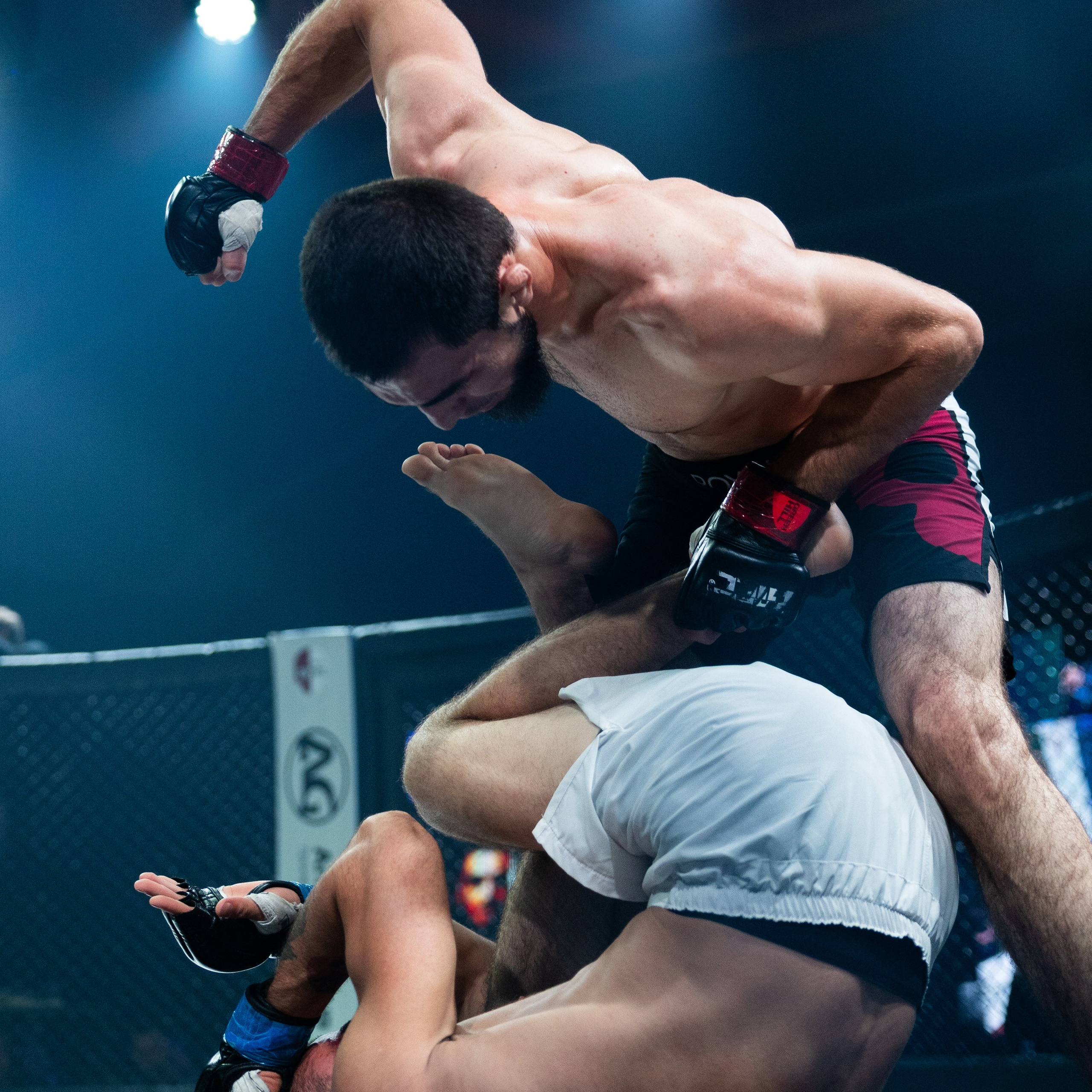 MMA/Royal Battle Show. Свадебный фотограф в Нижнем Новгороде и Москве Виктор Баринов