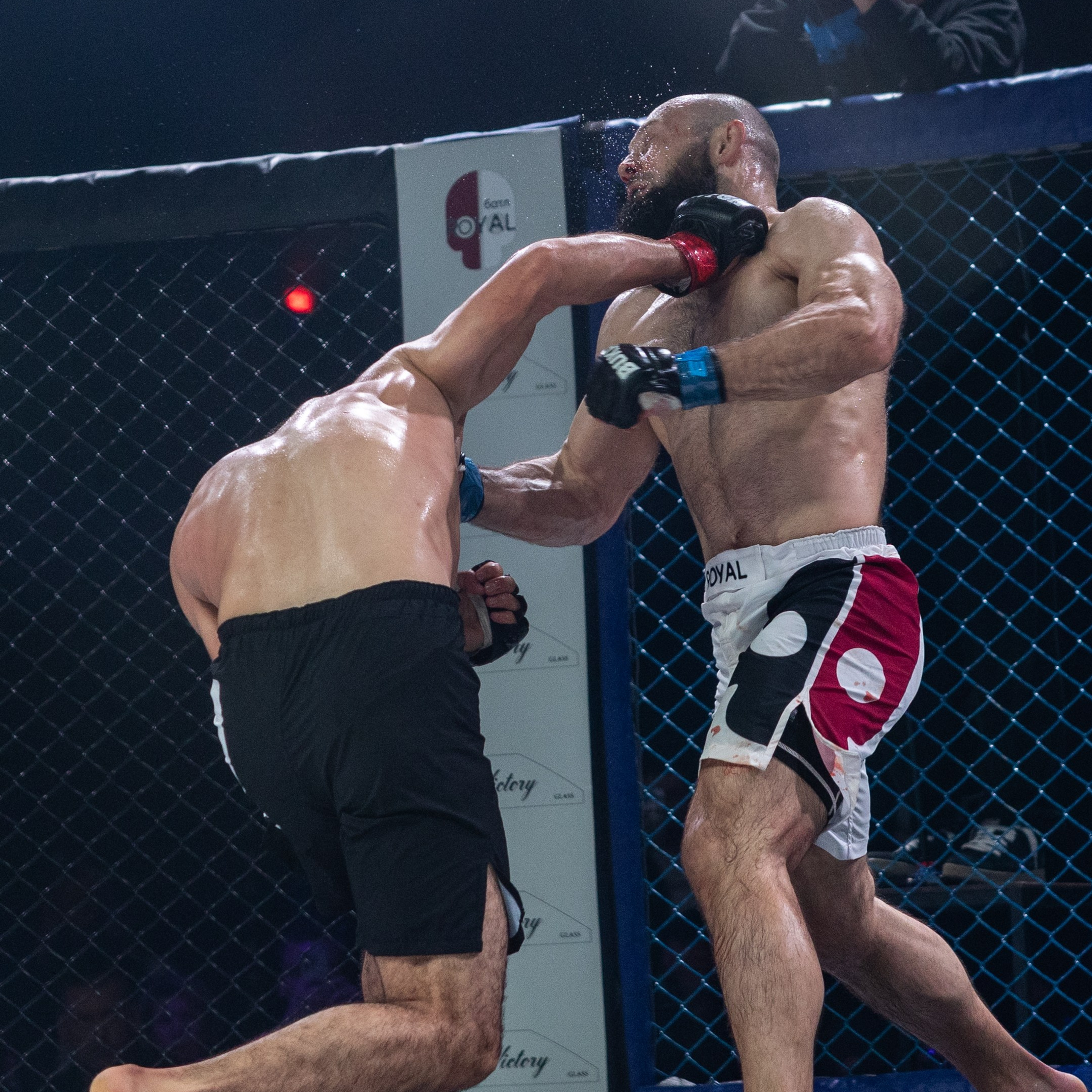 MMA/Royal Battle Show. Свадебный фотограф в Нижнем Новгороде и Москве Виктор Баринов